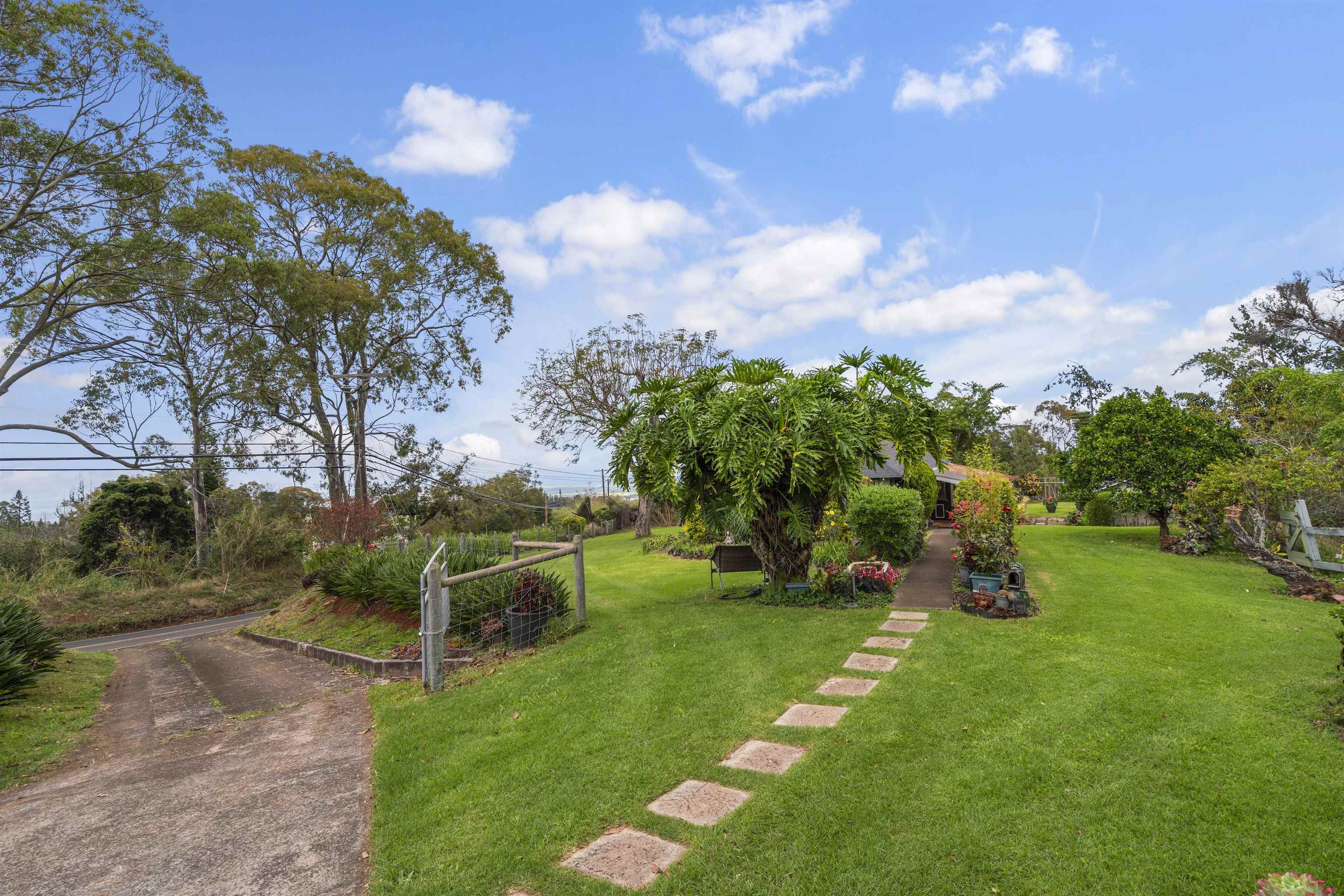 1423 Olinda Rd Property Photo 10