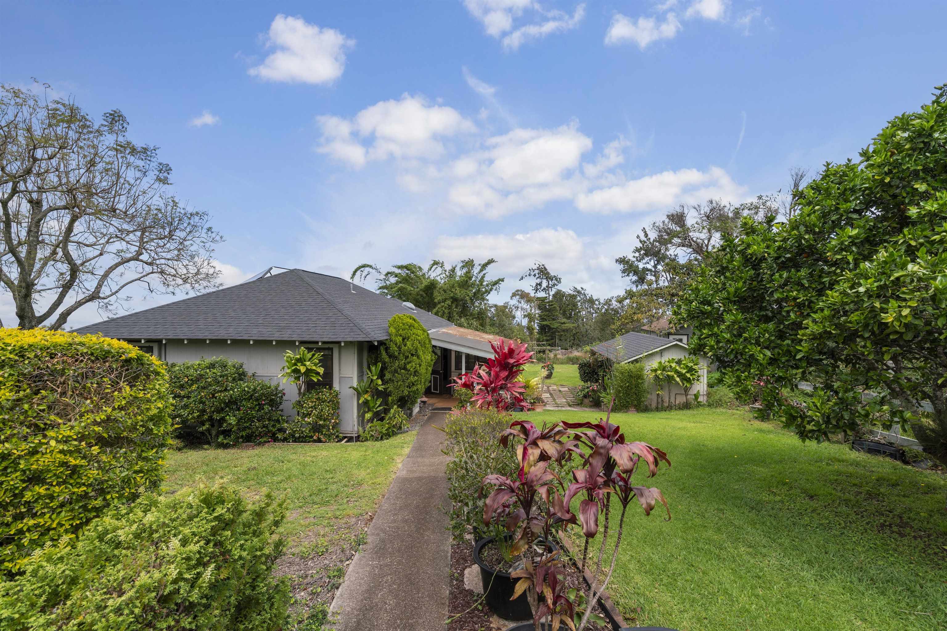 1423 Olinda Rd Property Photo 12