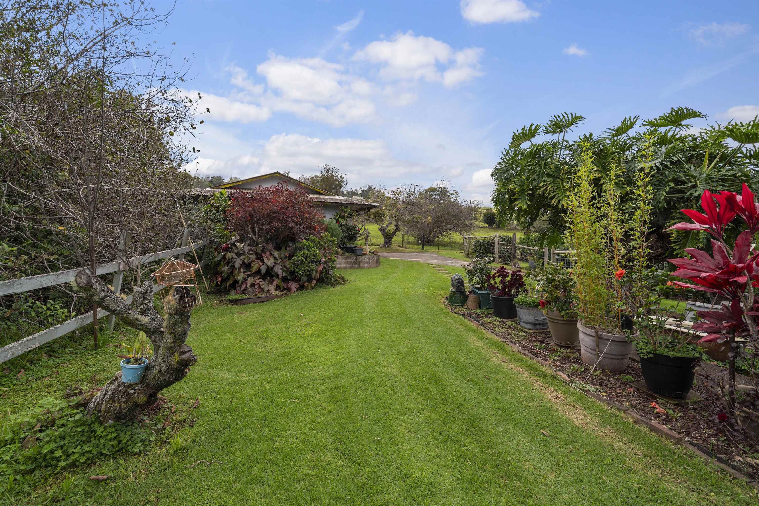 1423 Olinda Rd Property Photo 33
