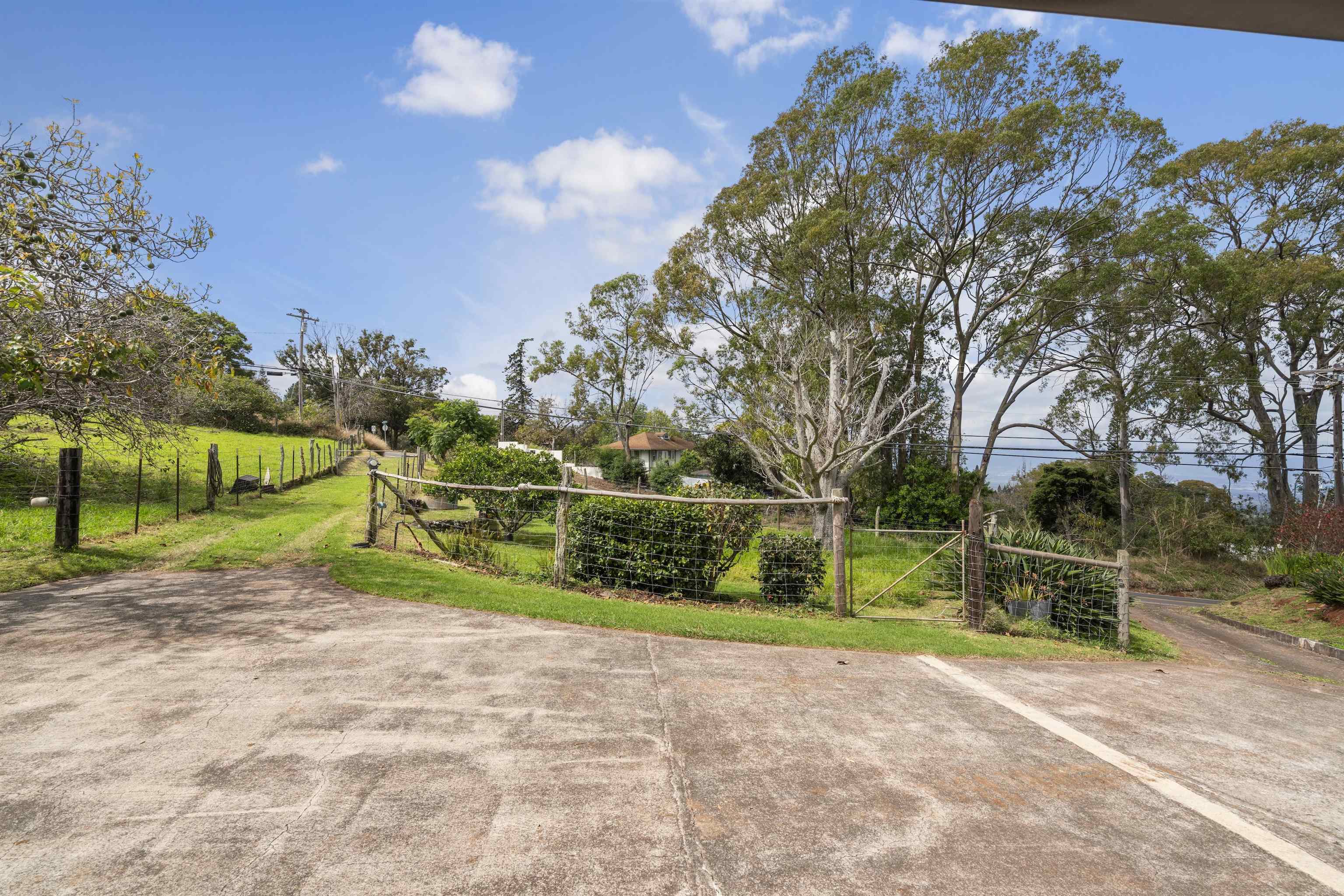 1423 Olinda Rd Property Photo 36