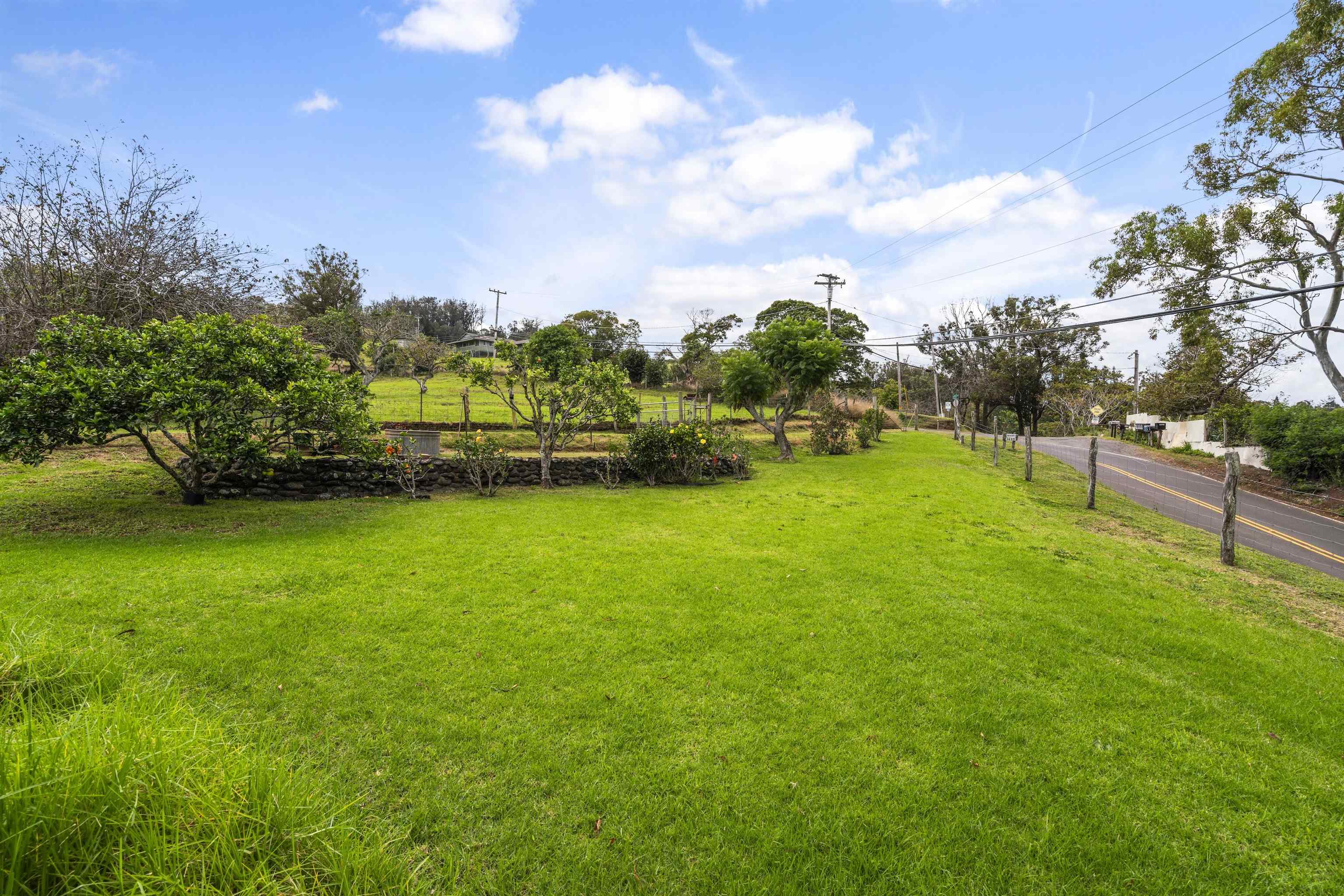 1423 Olinda Rd Property Photo 38