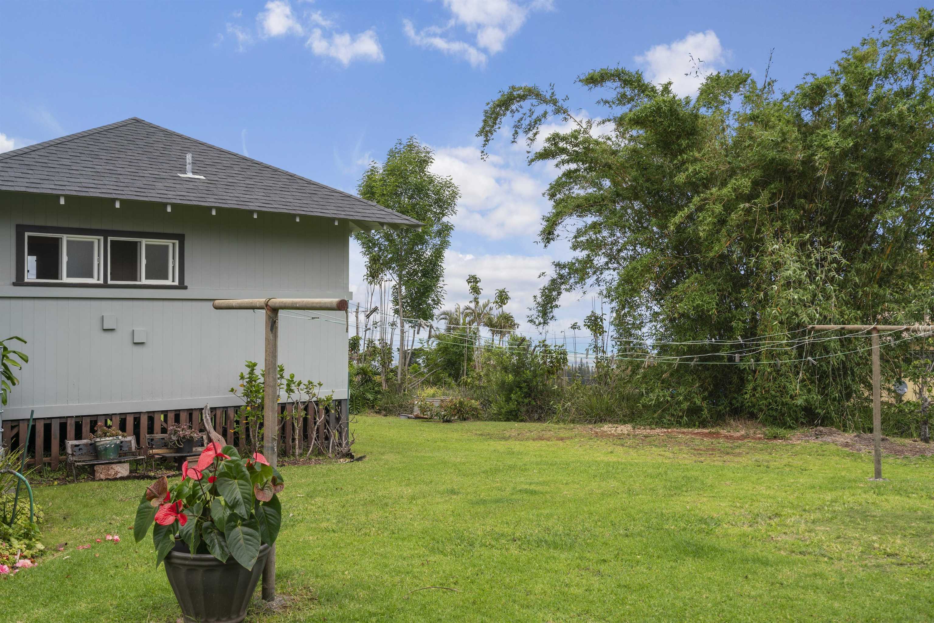 1423 Olinda Rd Property Photo 48