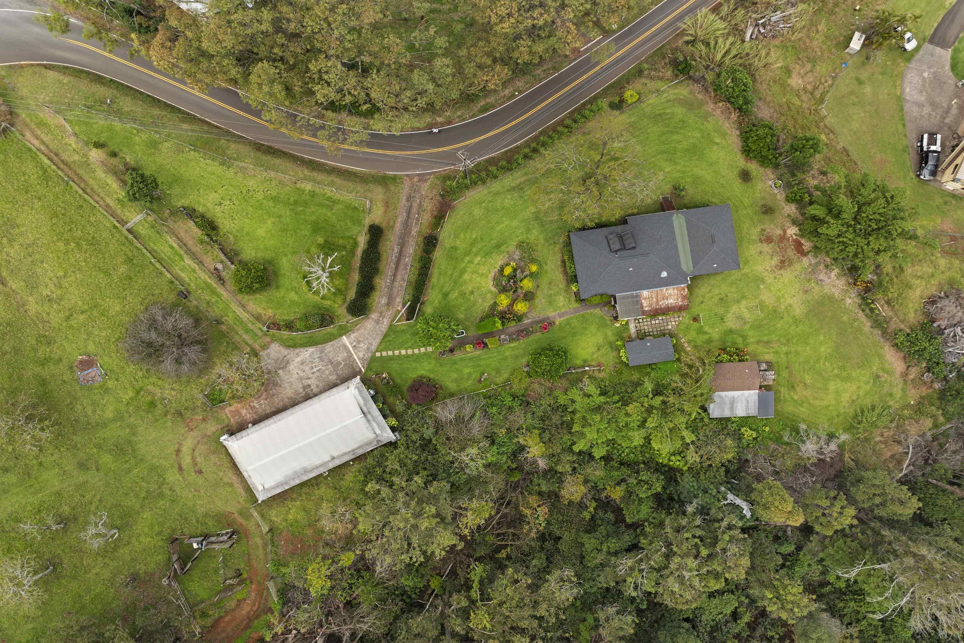 1423 Olinda Rd Property Photo 49