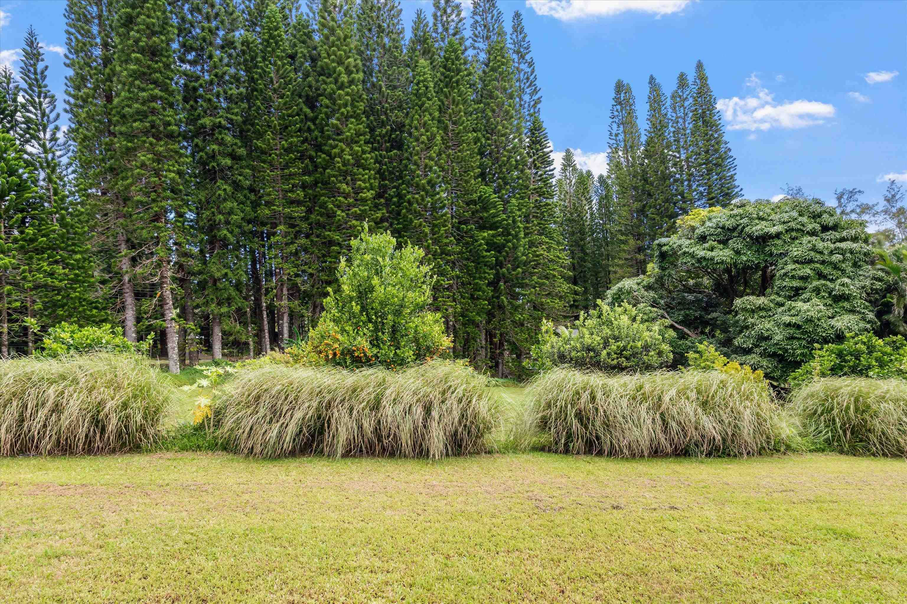 169 Waipalani Rd Property Photo 47
