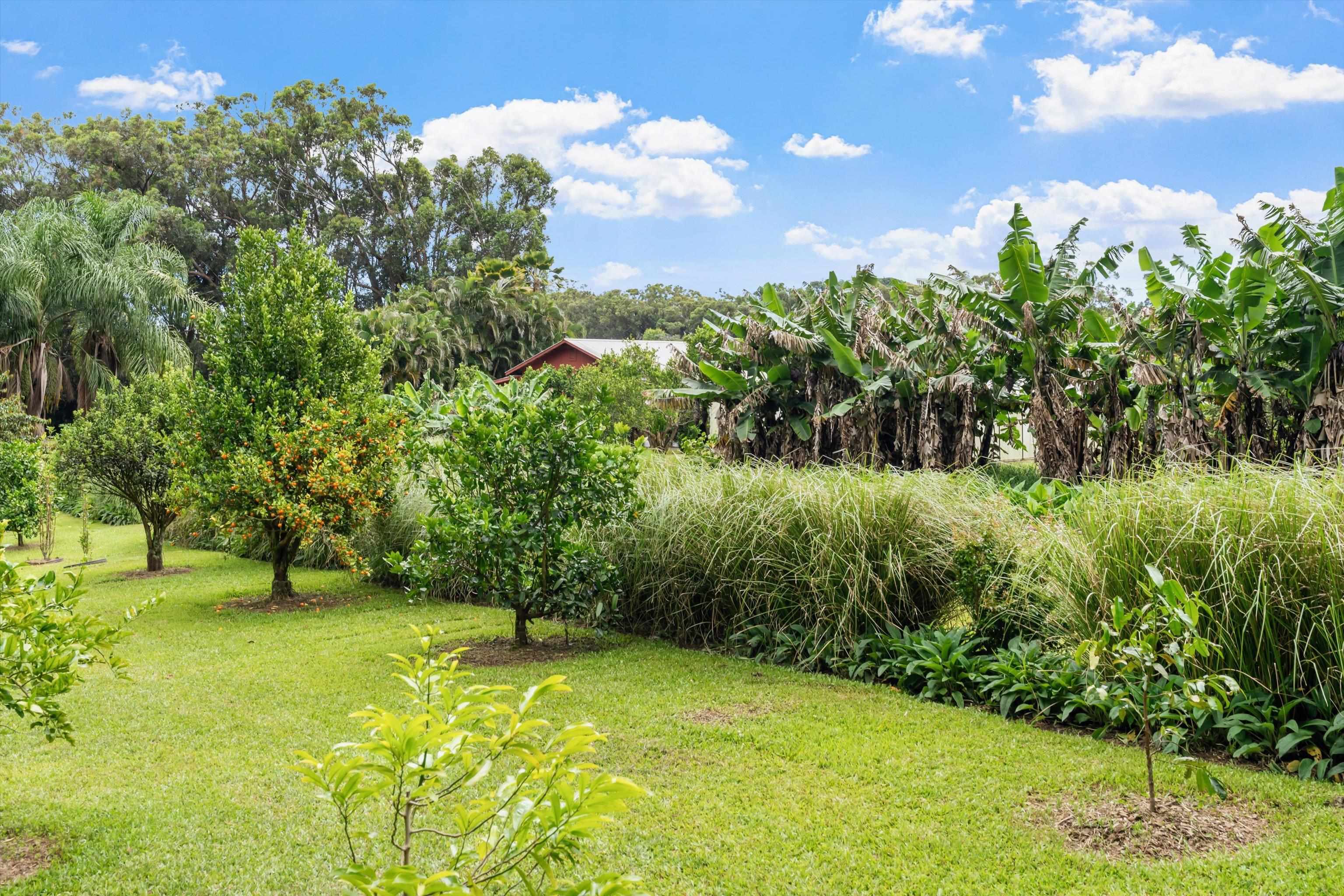 169 Waipalani Rd Property Photo 48