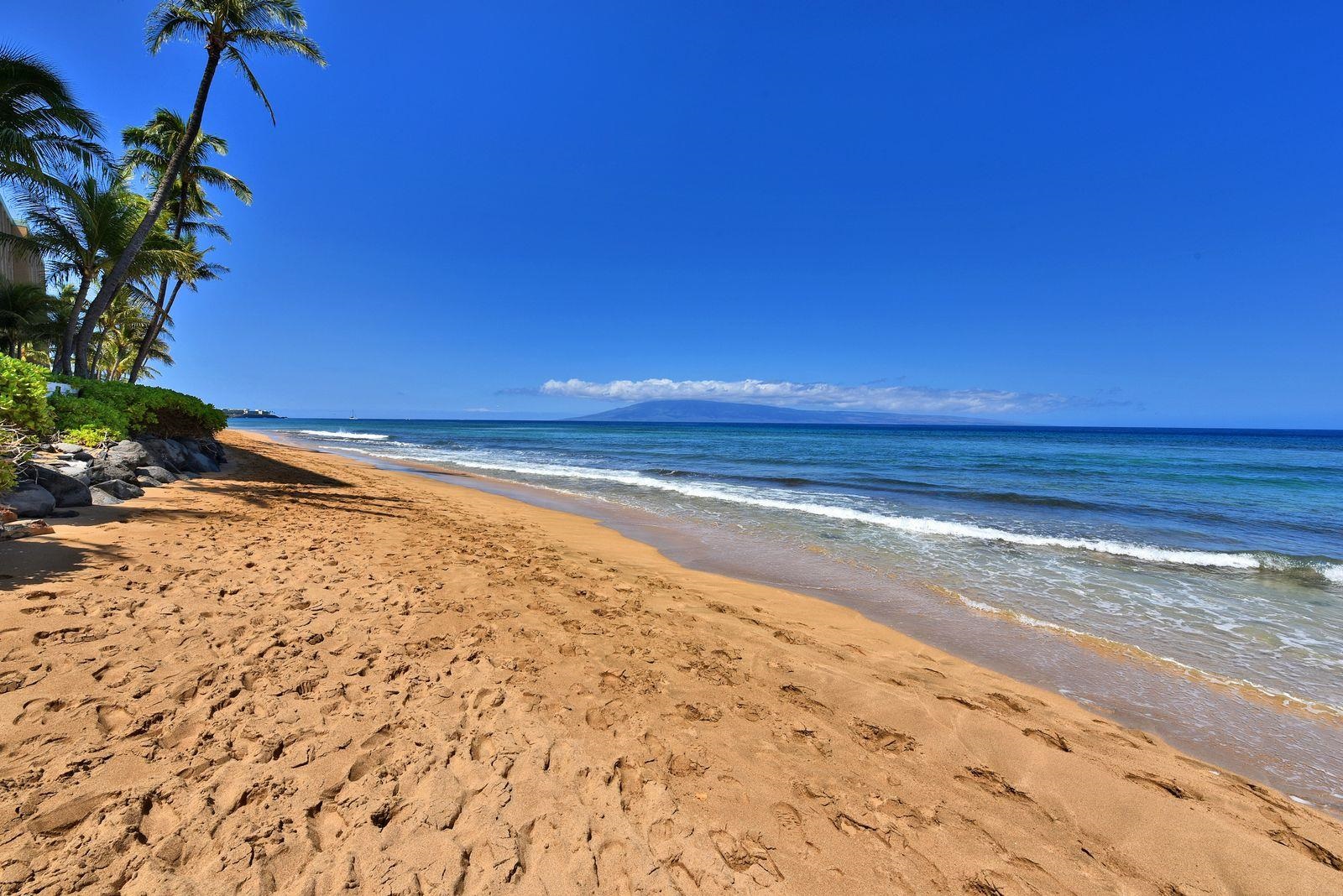 106 Kaanapali Shores Pl Property Photo 7