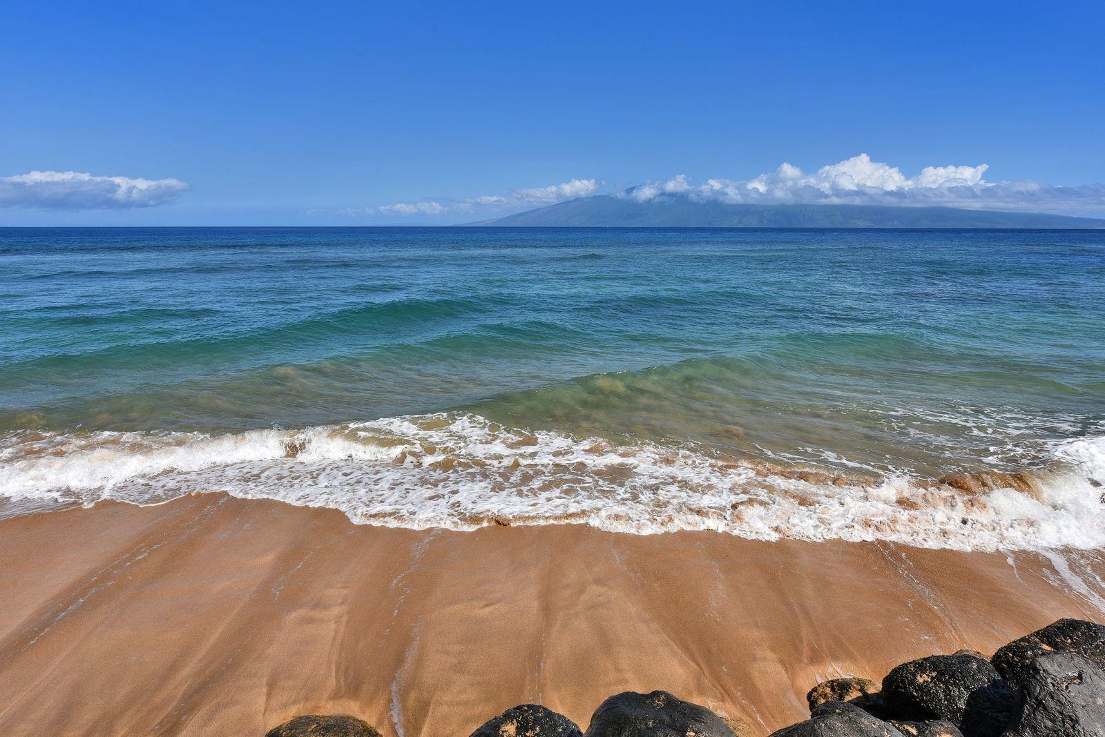 106 Kaanapali Shores Pl Property Photo 19