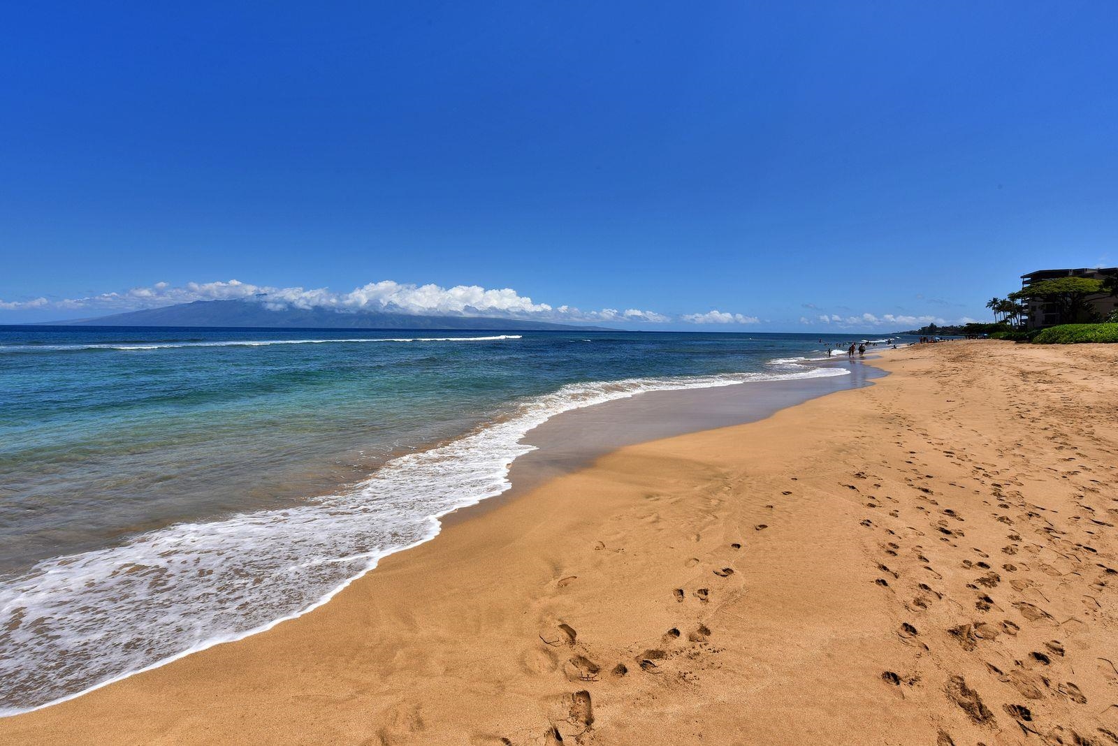 106 Kaanapali Shores Pl Property Photo 20