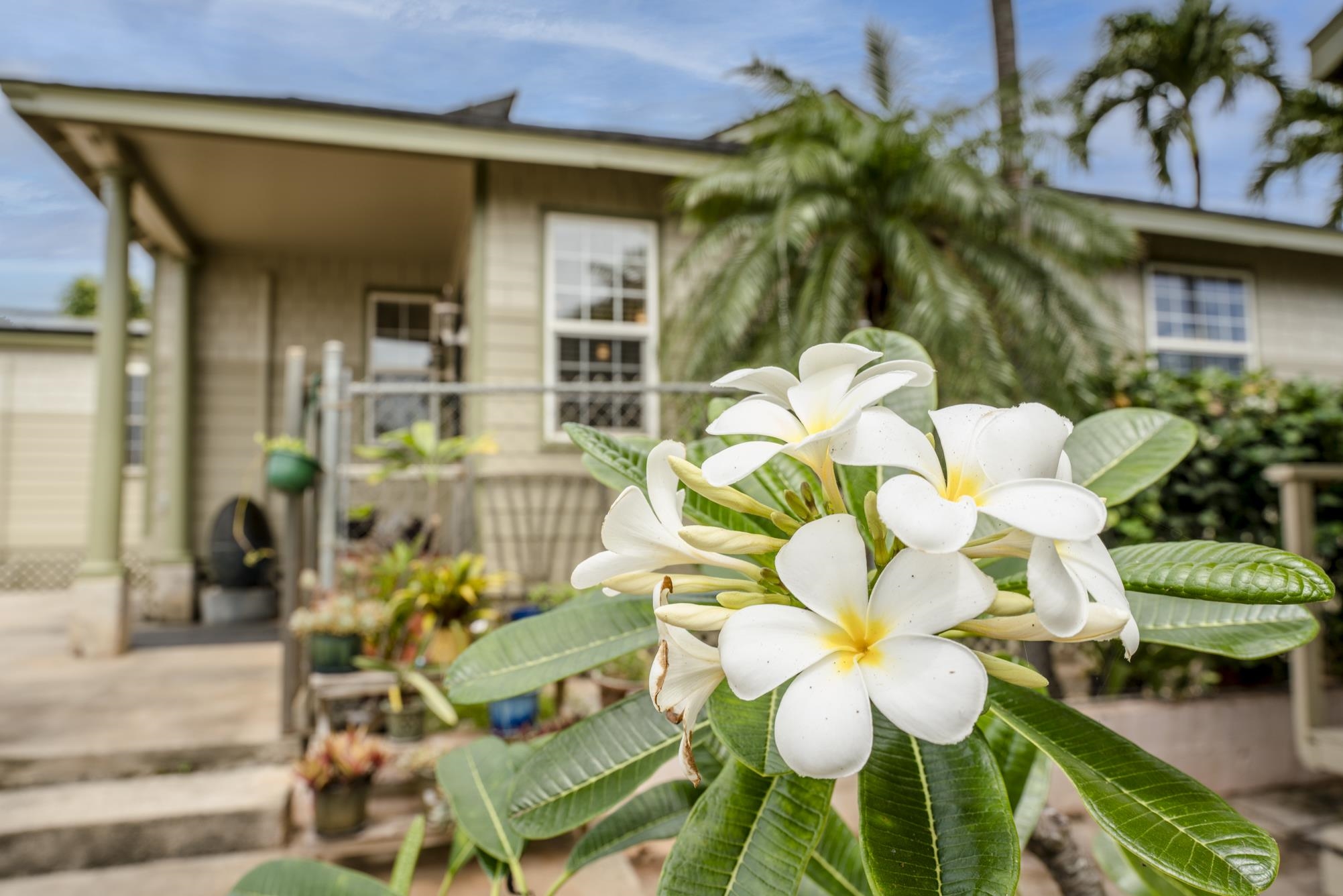 73a Maluhia Dr Property Photo 3