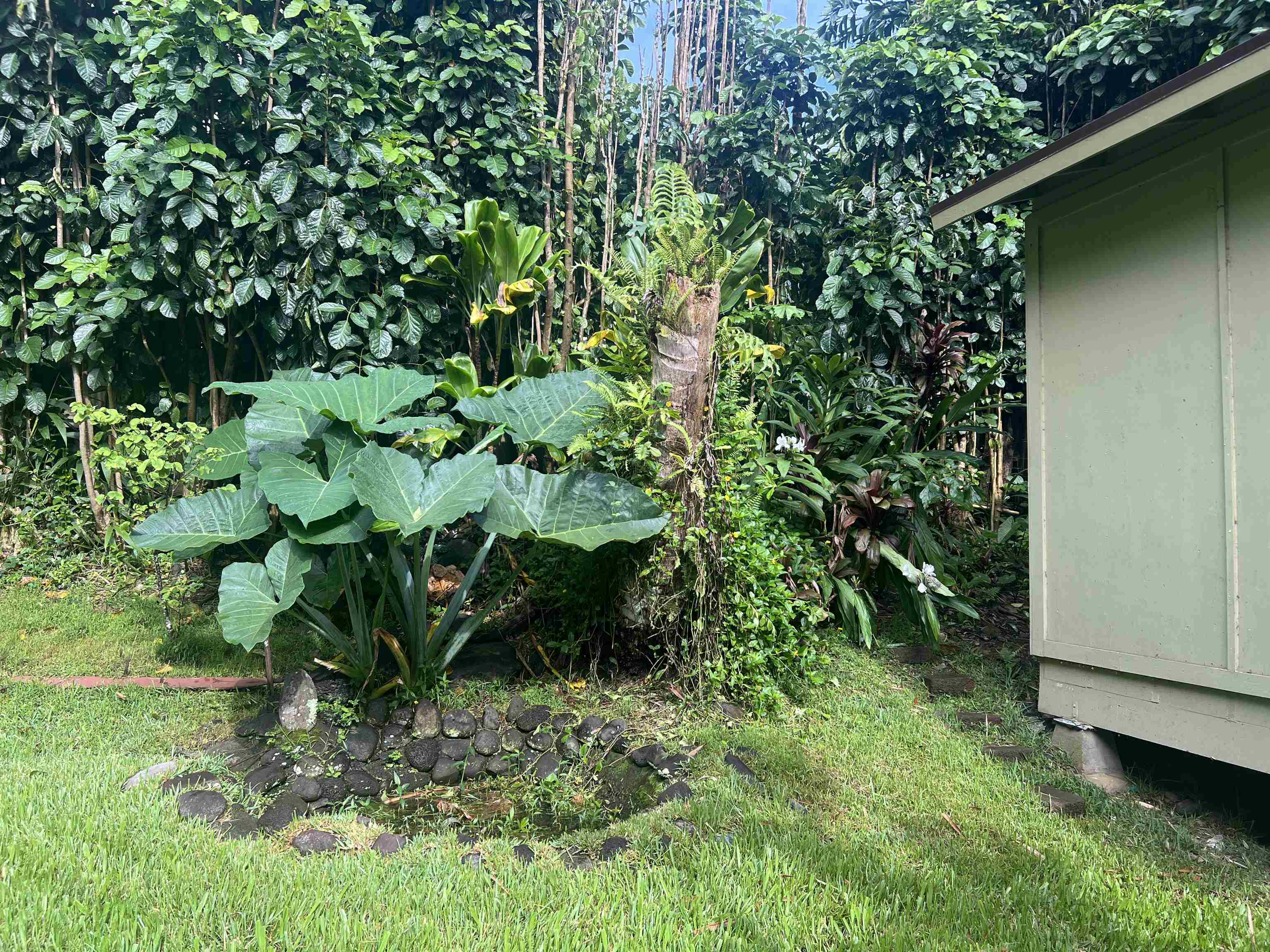 590 Kaiapa Pl Property Photo 44