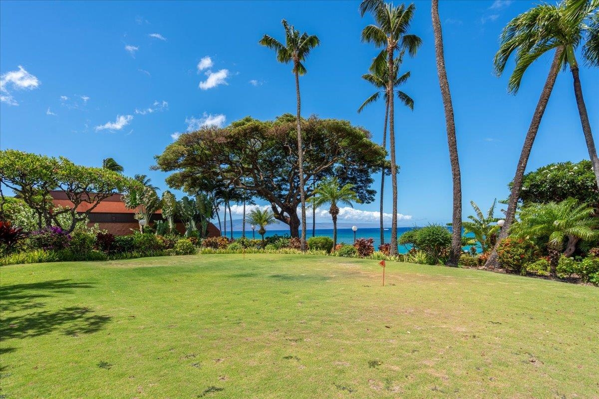 3959 Lower Honoapiilani Rd Property Photo 26