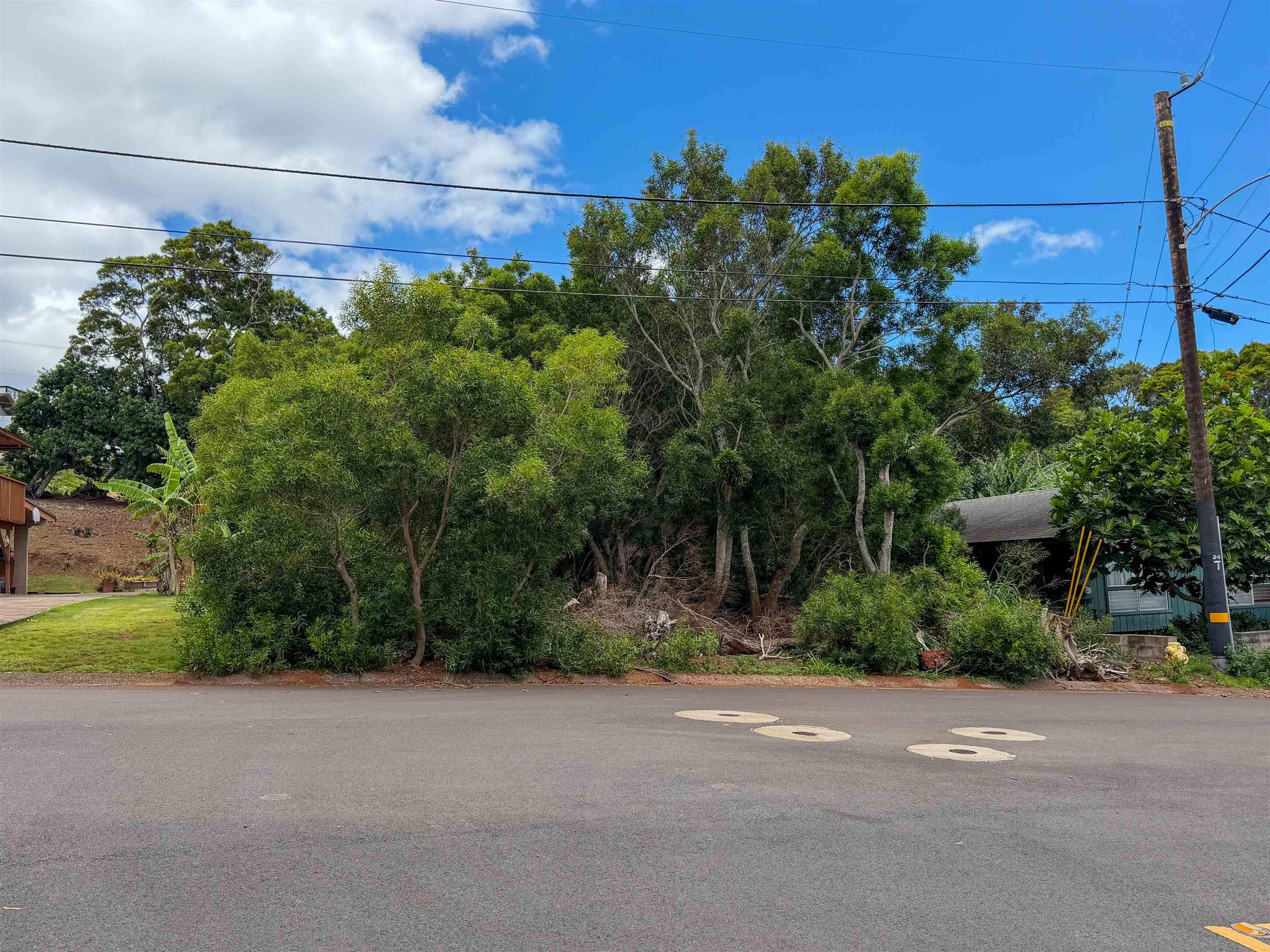 2108 Akeu Way Property Photo 1