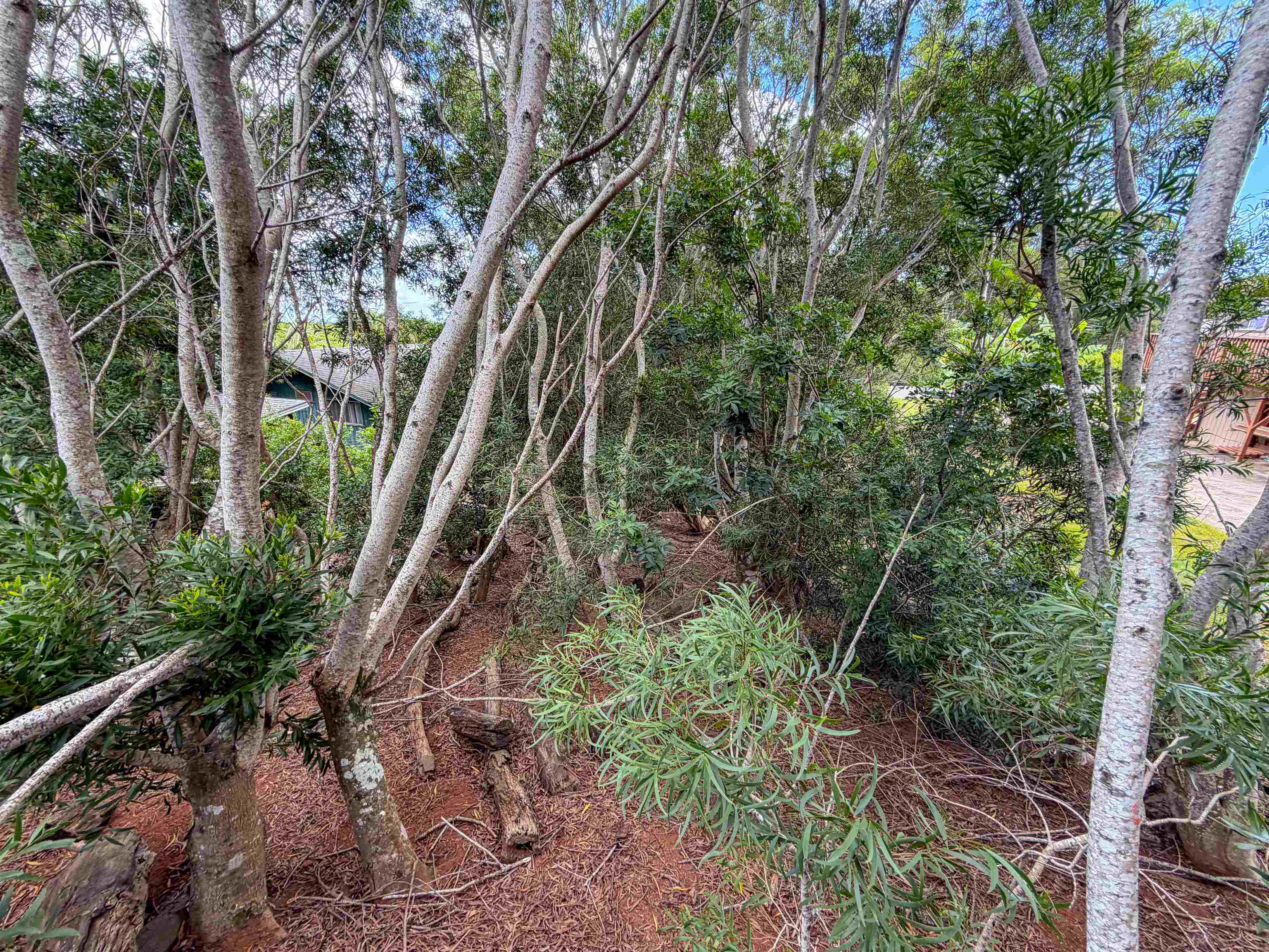 2108 Akeu Way Property Photo 3