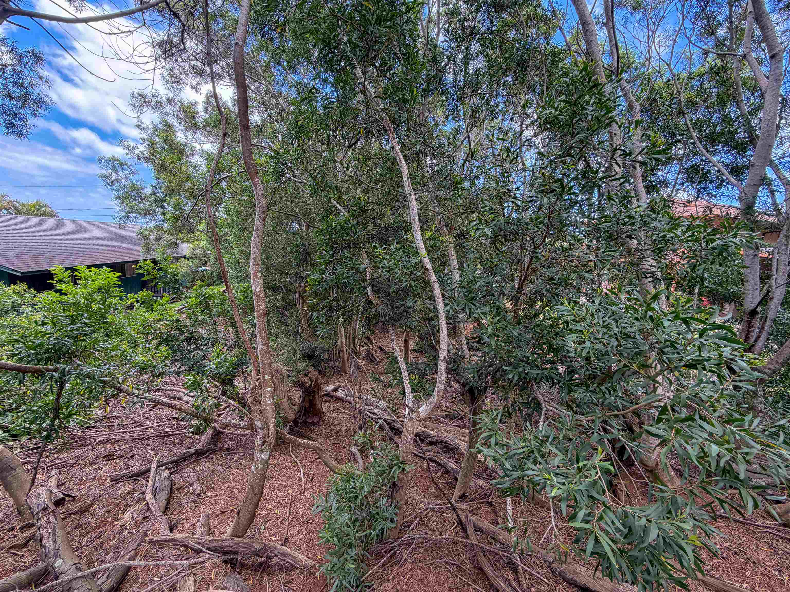 2108 Akeu Way Property Photo 4