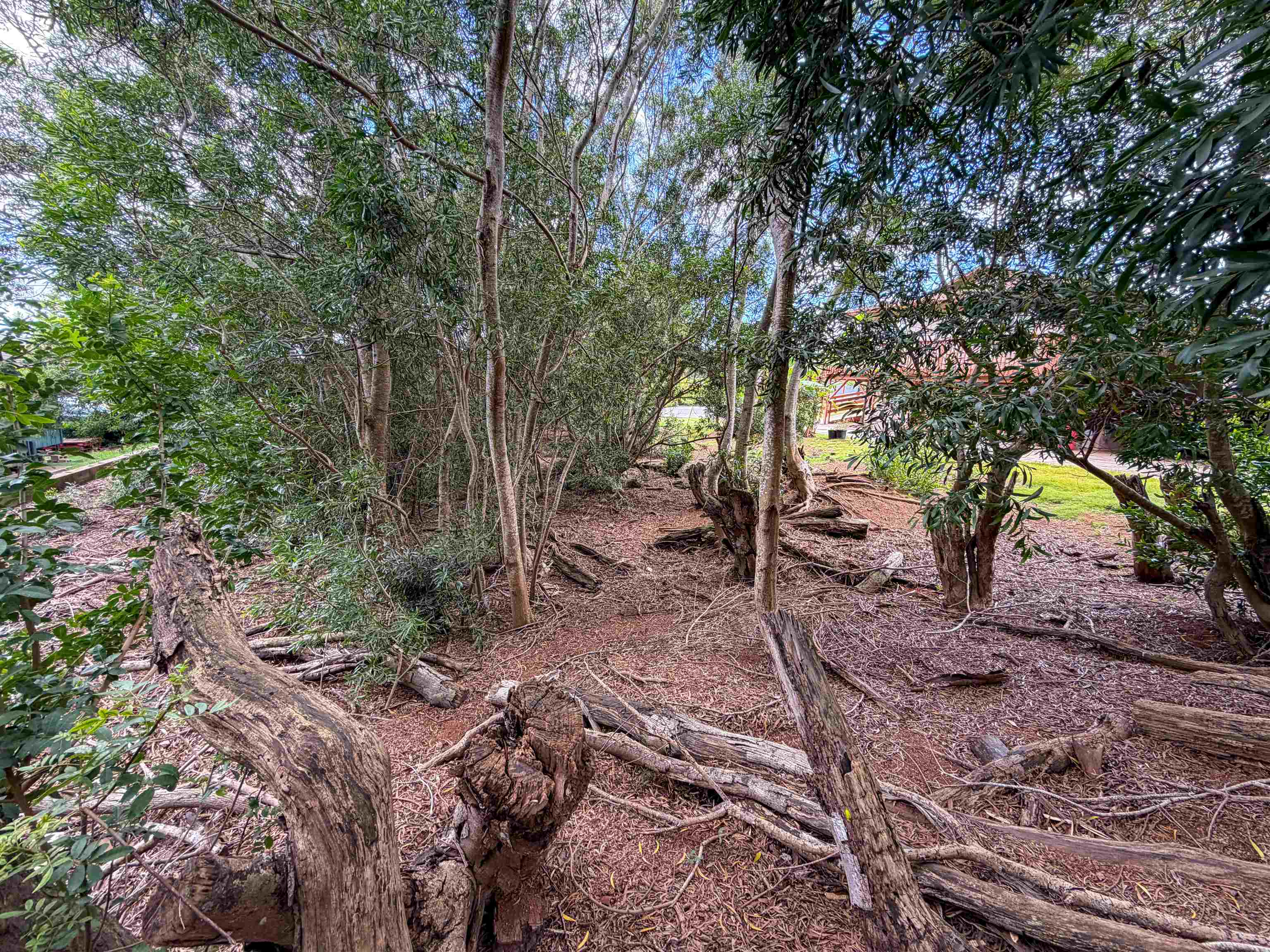 2108 Akeu Way Property Photo 5