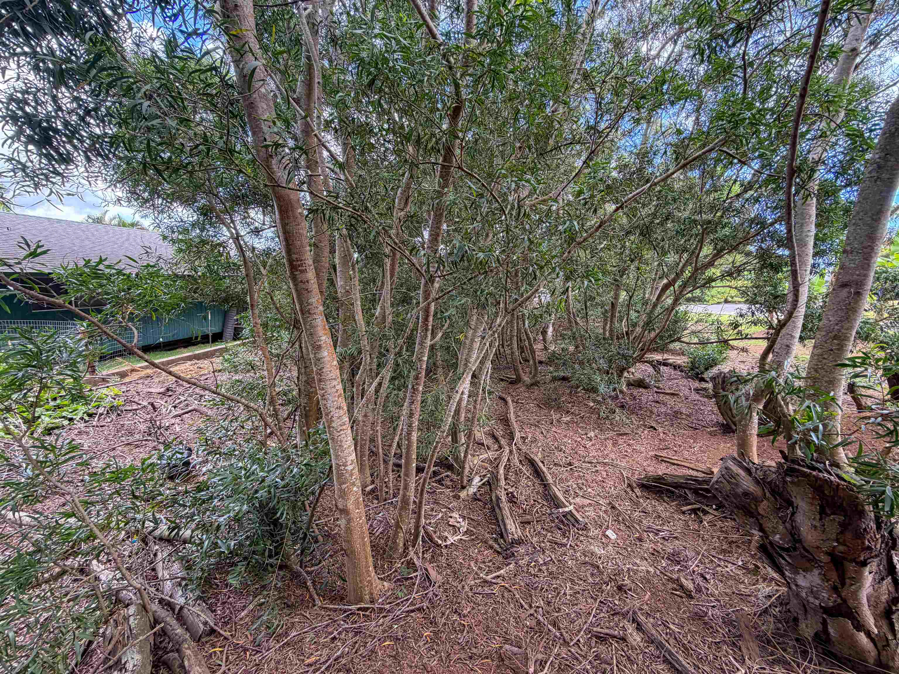 2108 Akeu Way Property Photo 6