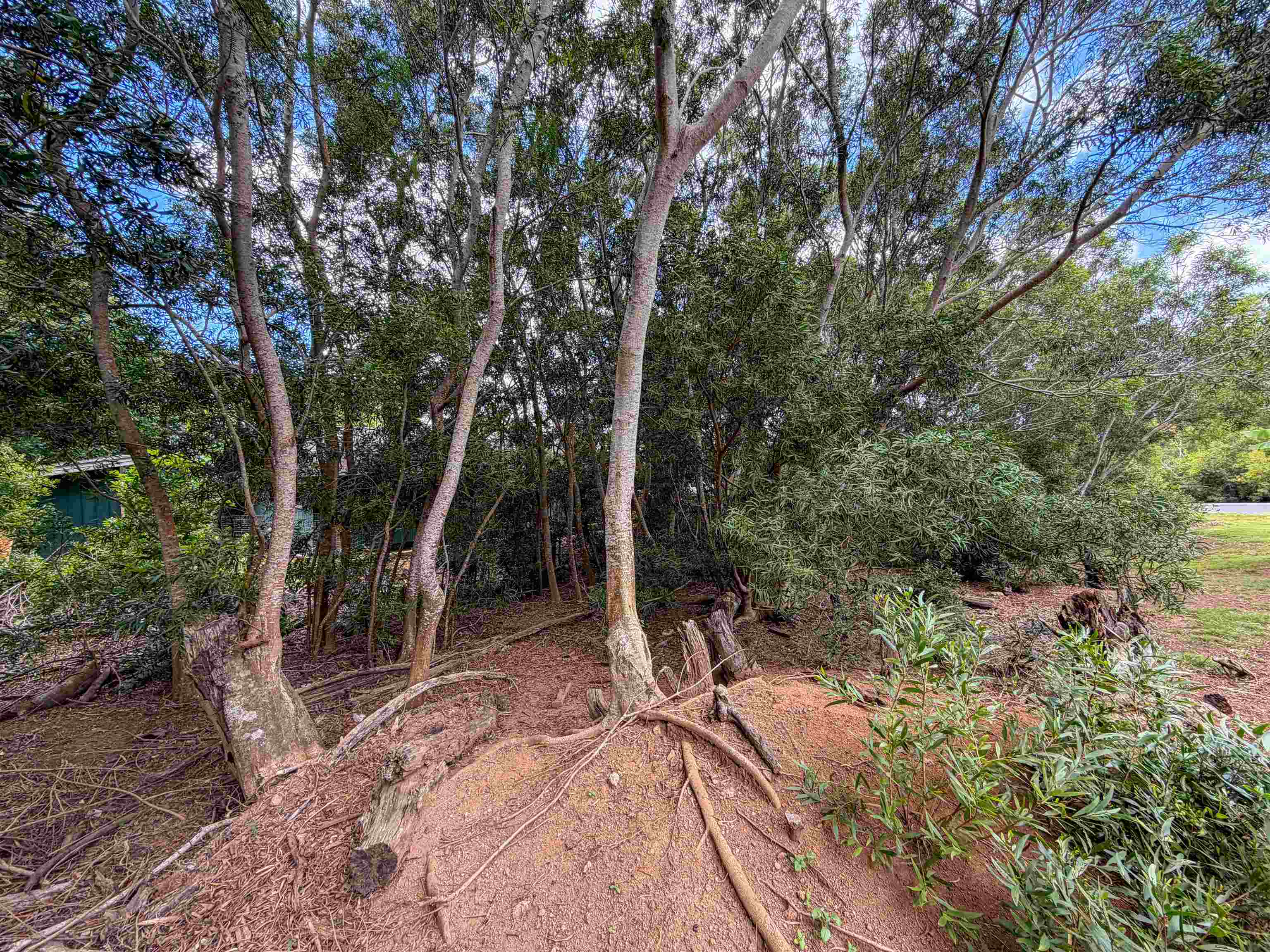 2108 Akeu Way Property Photo 7