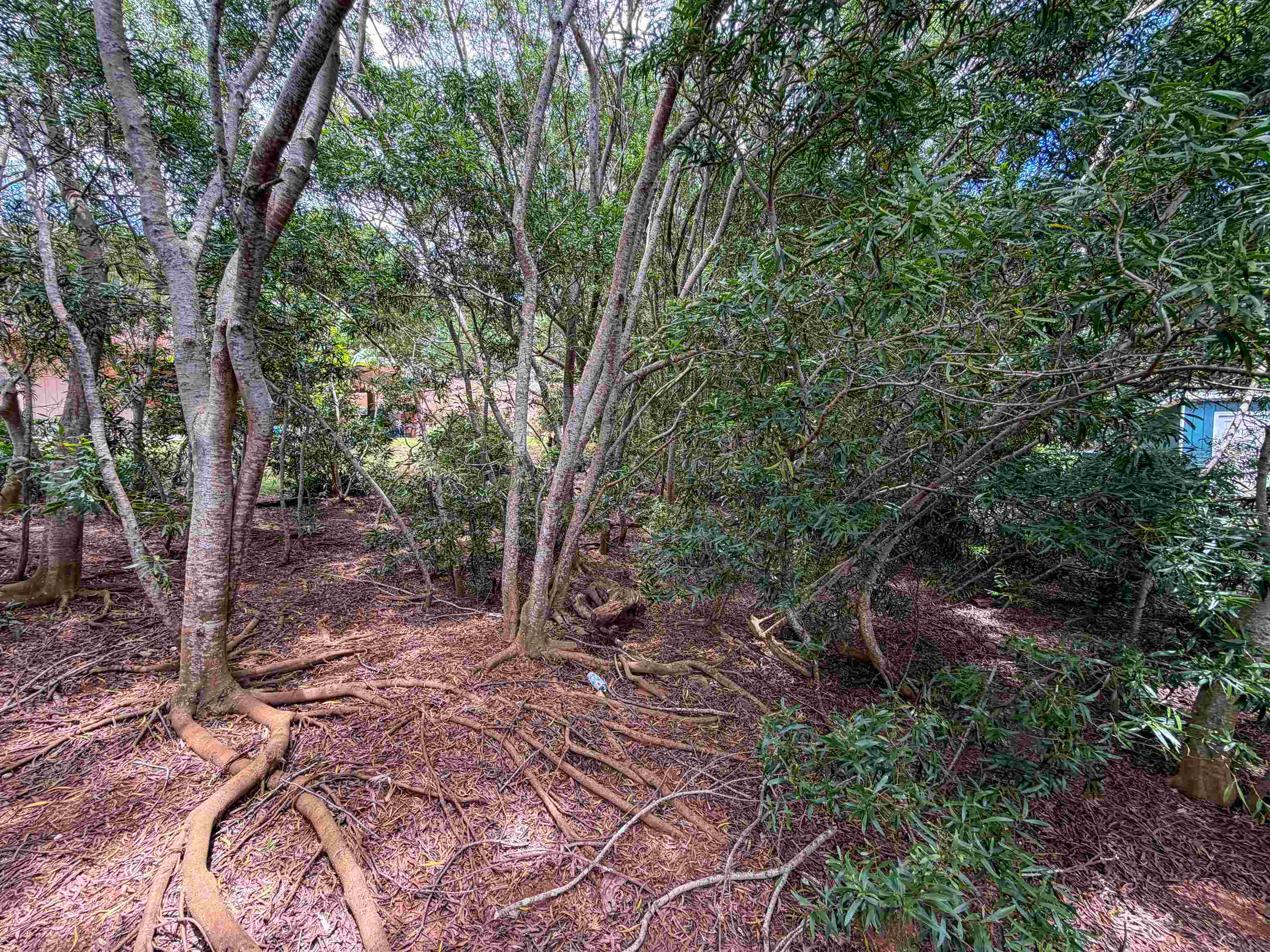 2108 Akeu Way Property Photo 8