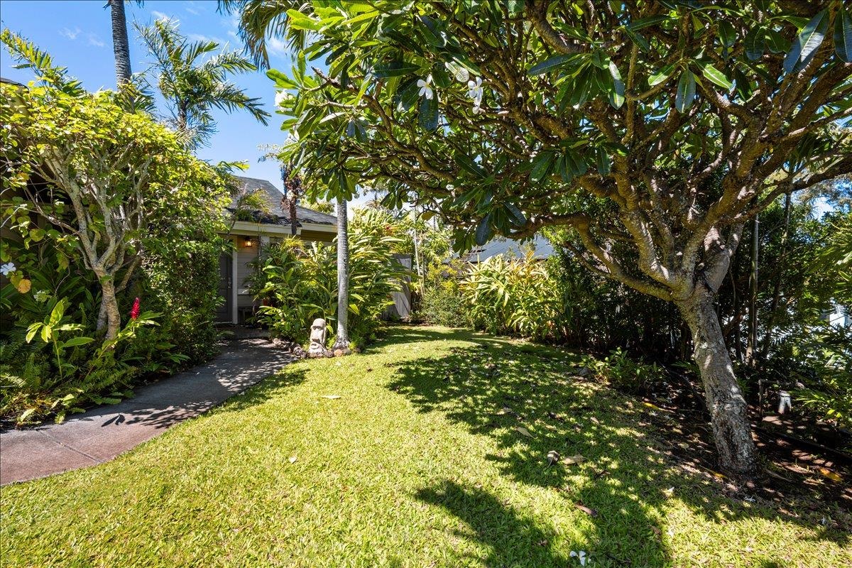 88 Lae St Property Photo 35