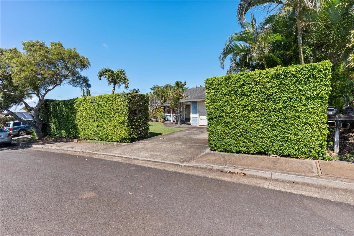 81 Lae St Property Photo 40