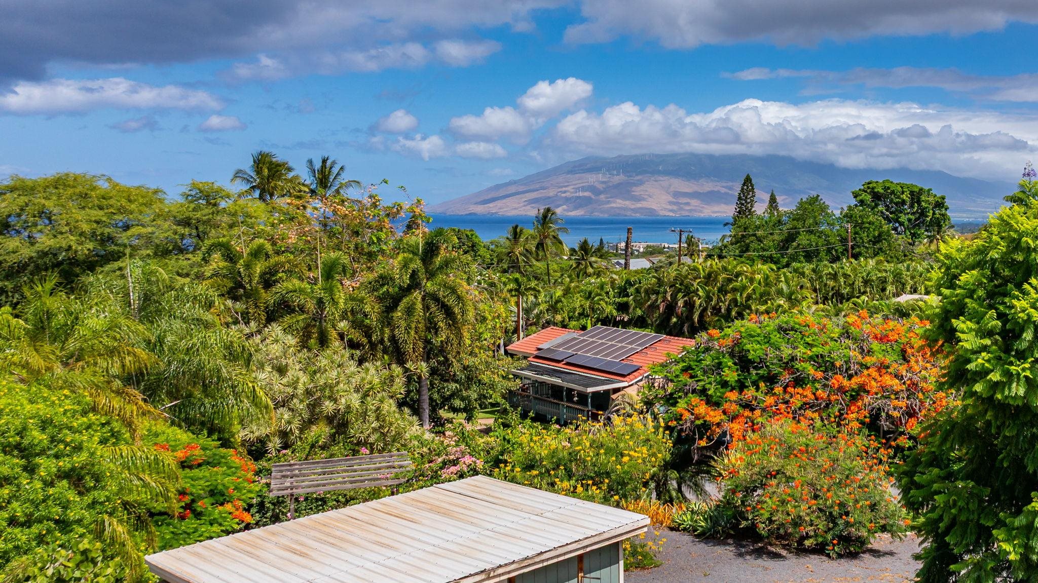 3129 Mapu Pl Property Photo 33