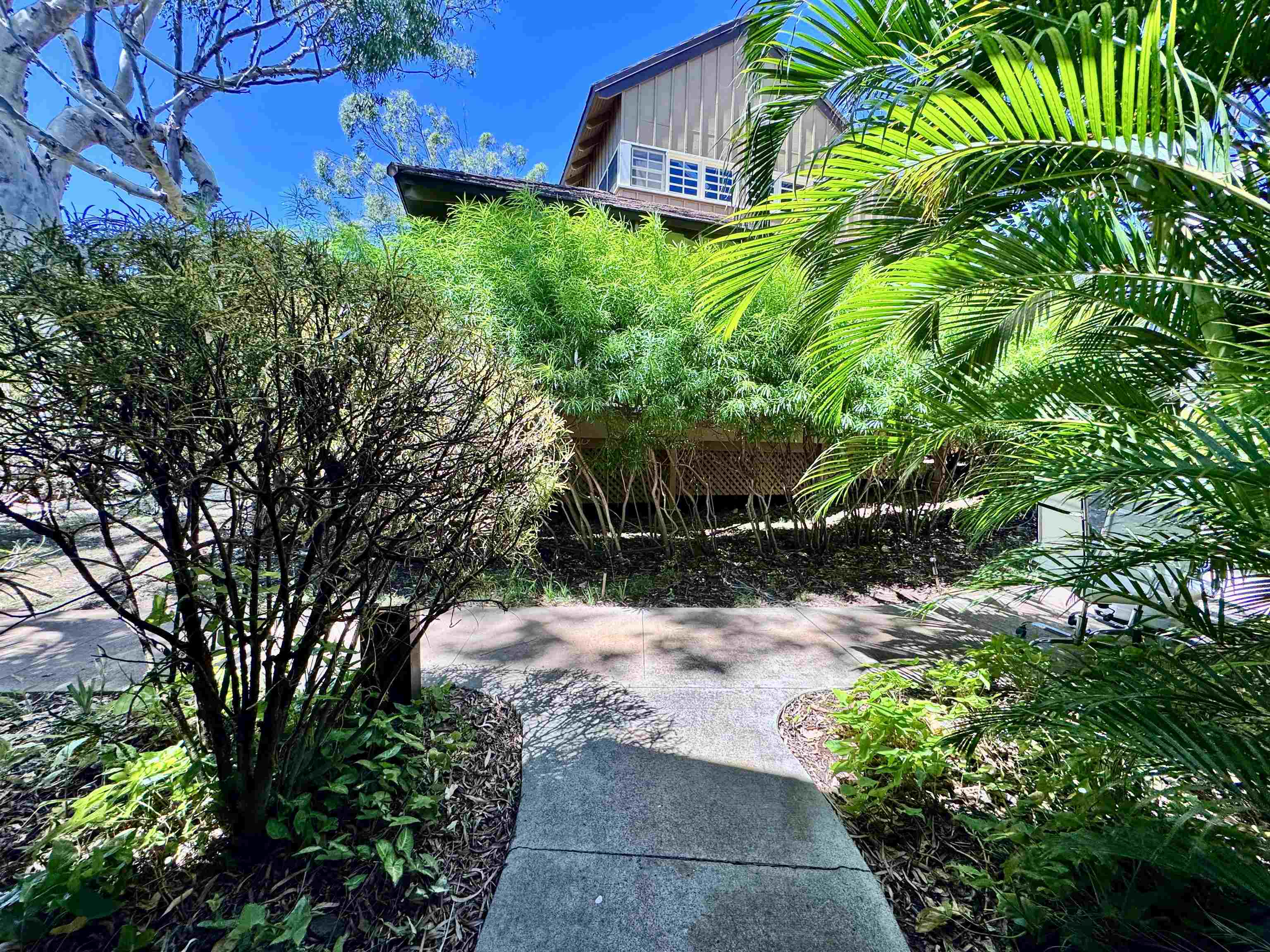 100 Lio Pl Property Photo 2