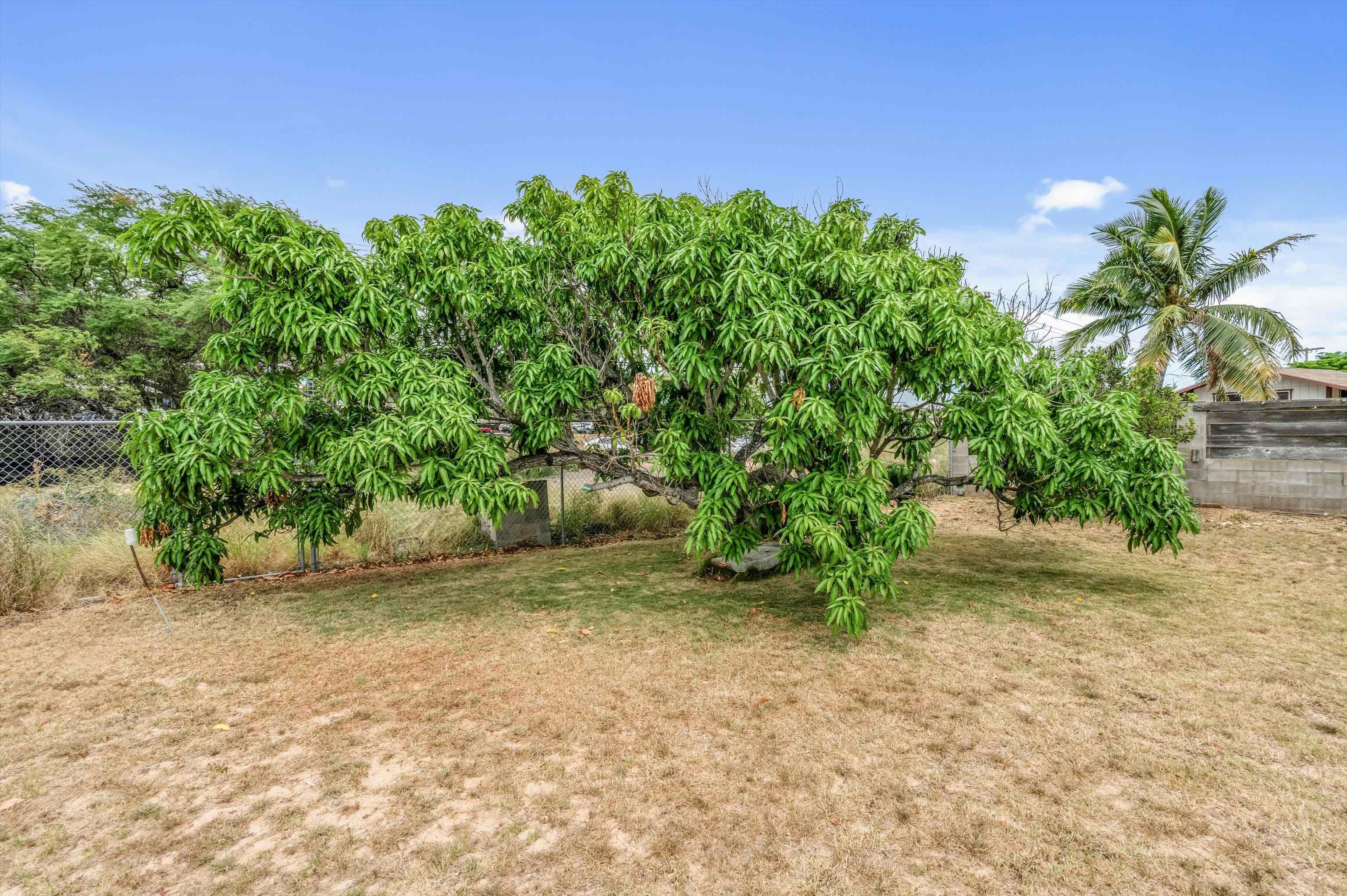 356 Hilu Pl Property Photo 20