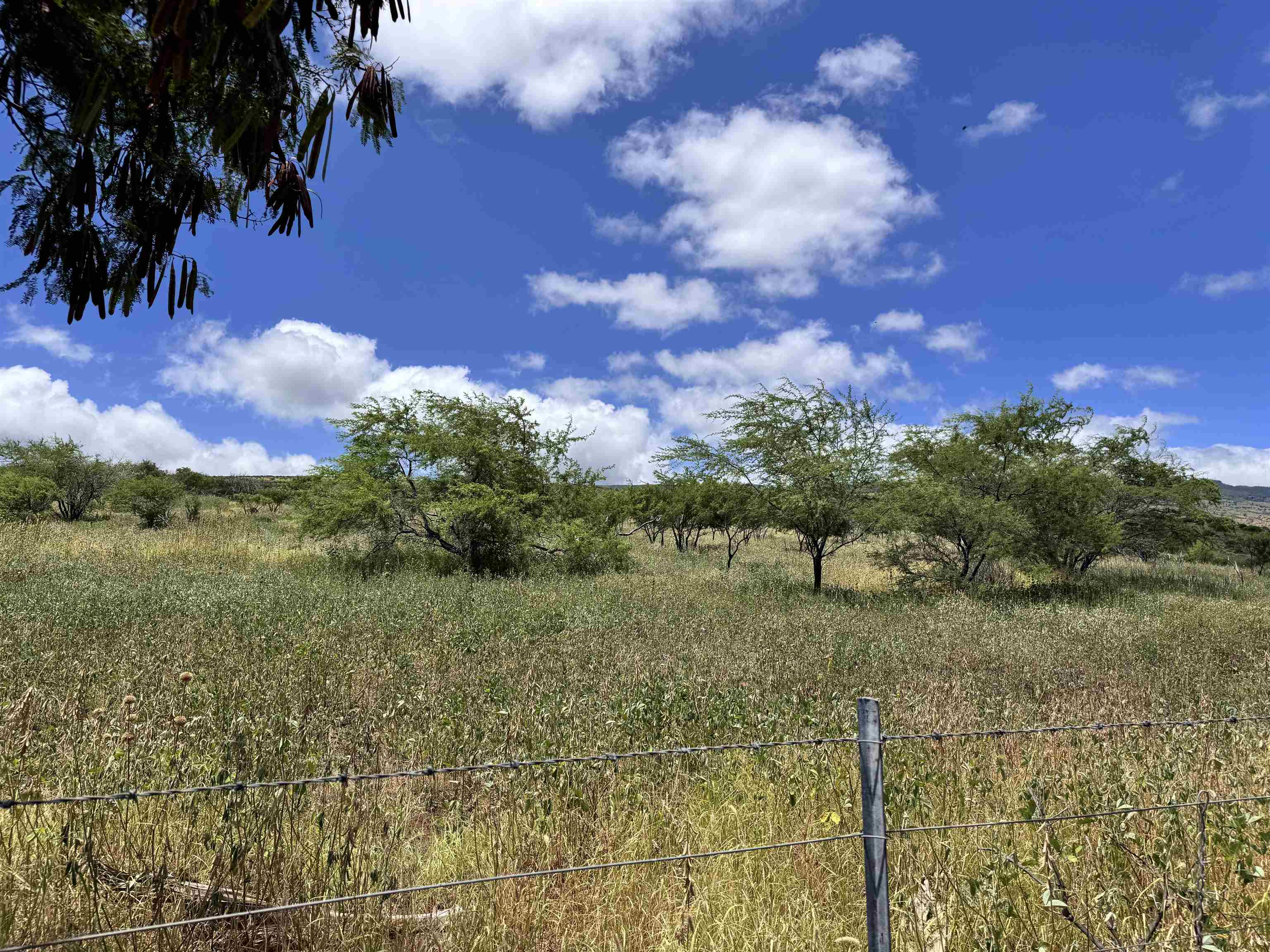 265 Aahi Pl Property Photo 40