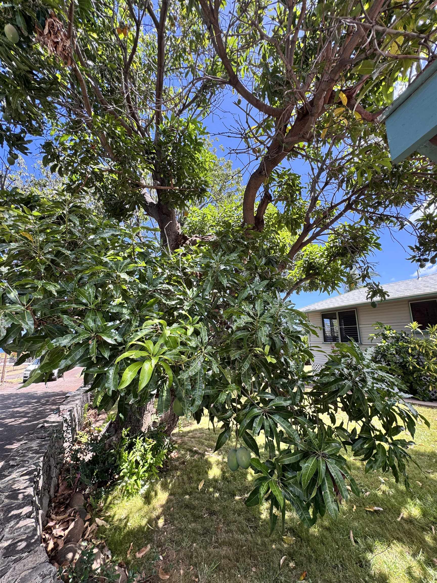 265 Aahi Pl Property Photo 41