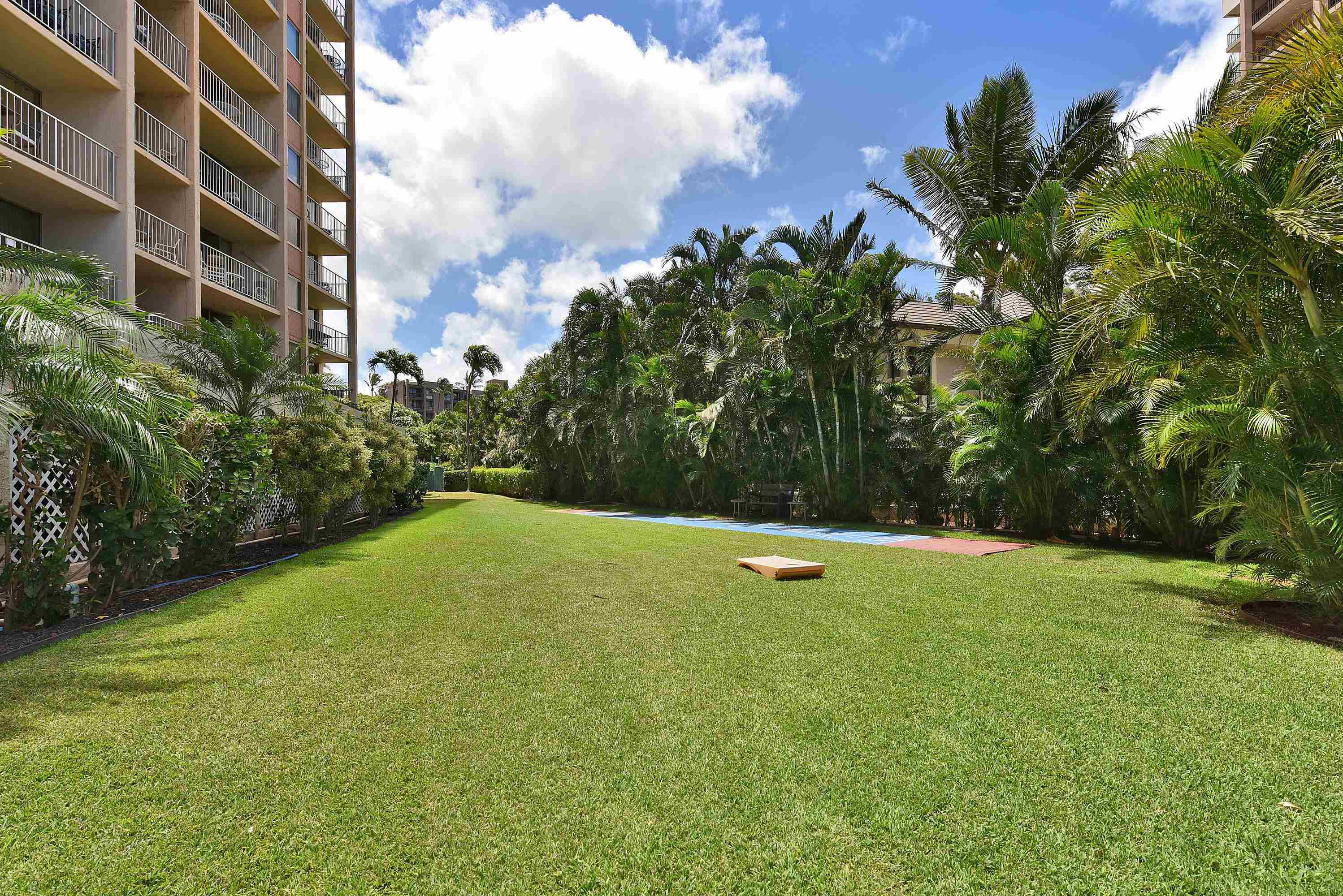 4365 Lower Honoapiilani Rd Property Photo 38