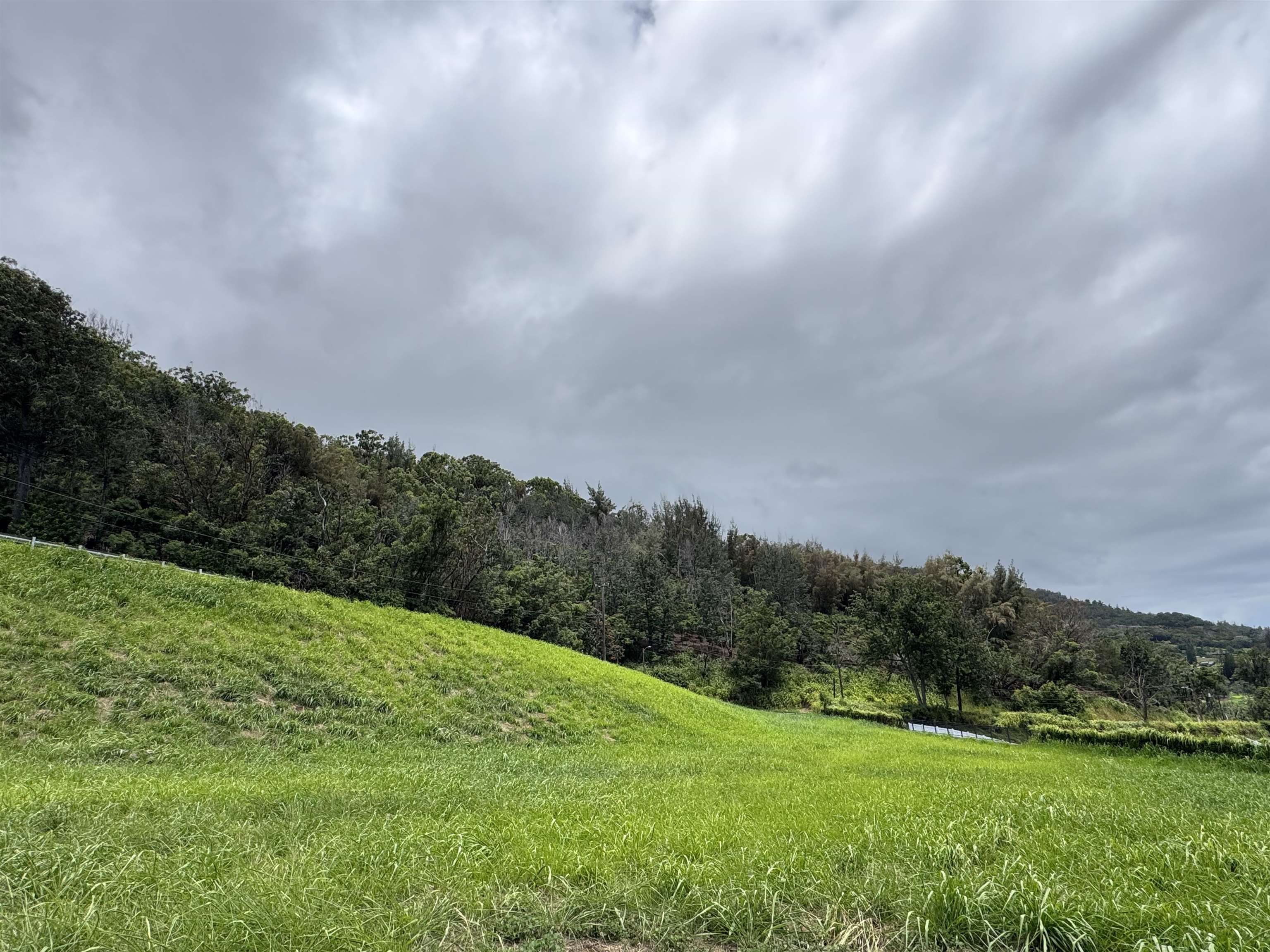 21 N Laikeha Pl Property Photo 4