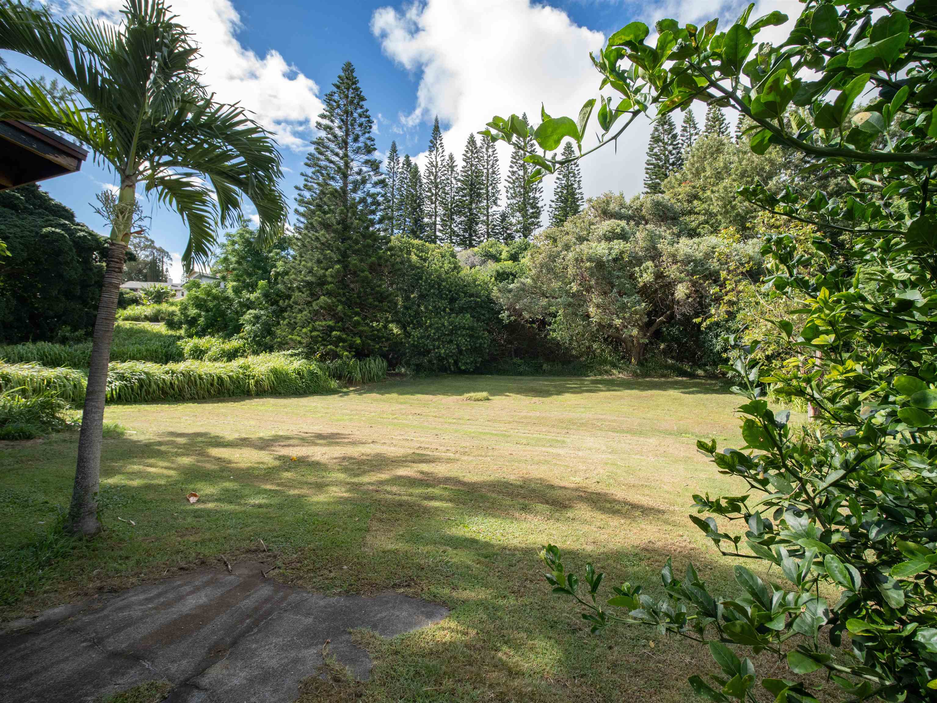 80 Mokuahi St Property Photo 2