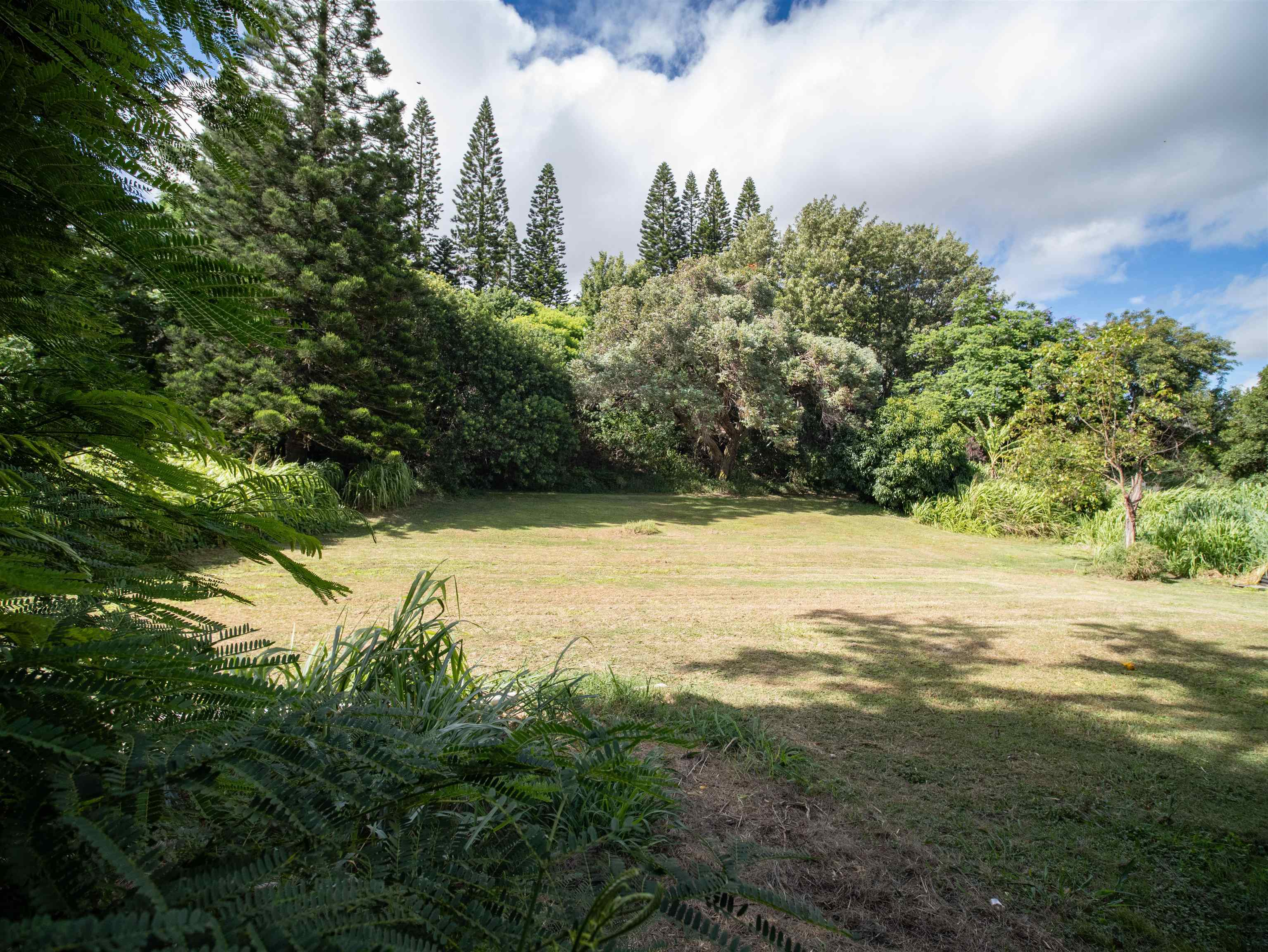 80 Mokuahi St Property Photo 35