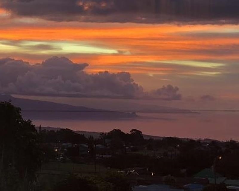 1131 Kehau Pl Property Photo 47