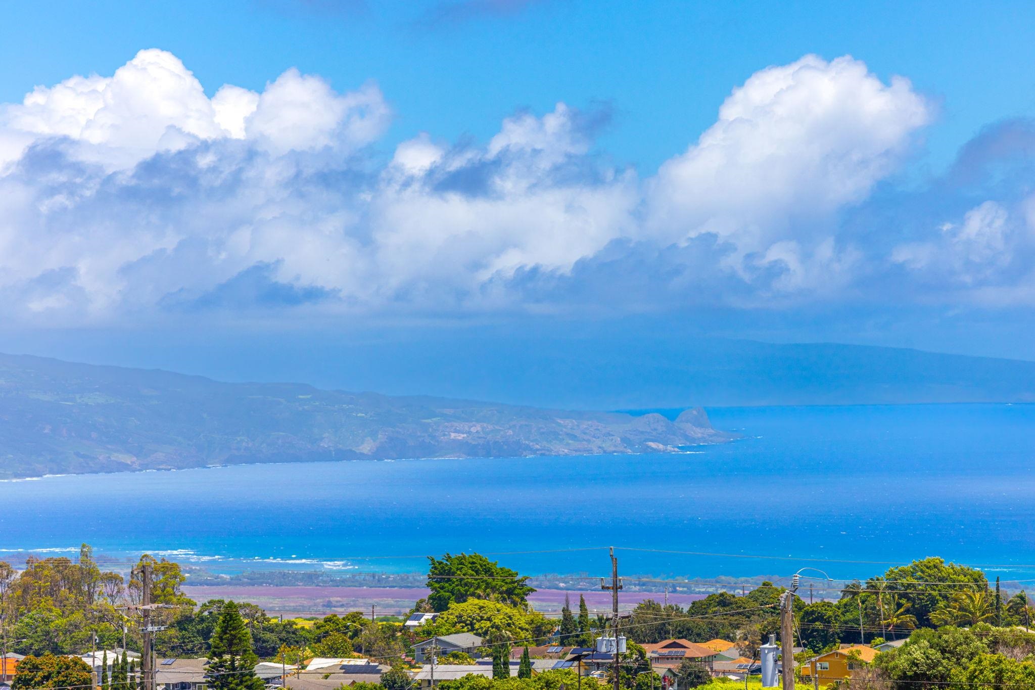 1131 Kehau Pl Property Photo 48