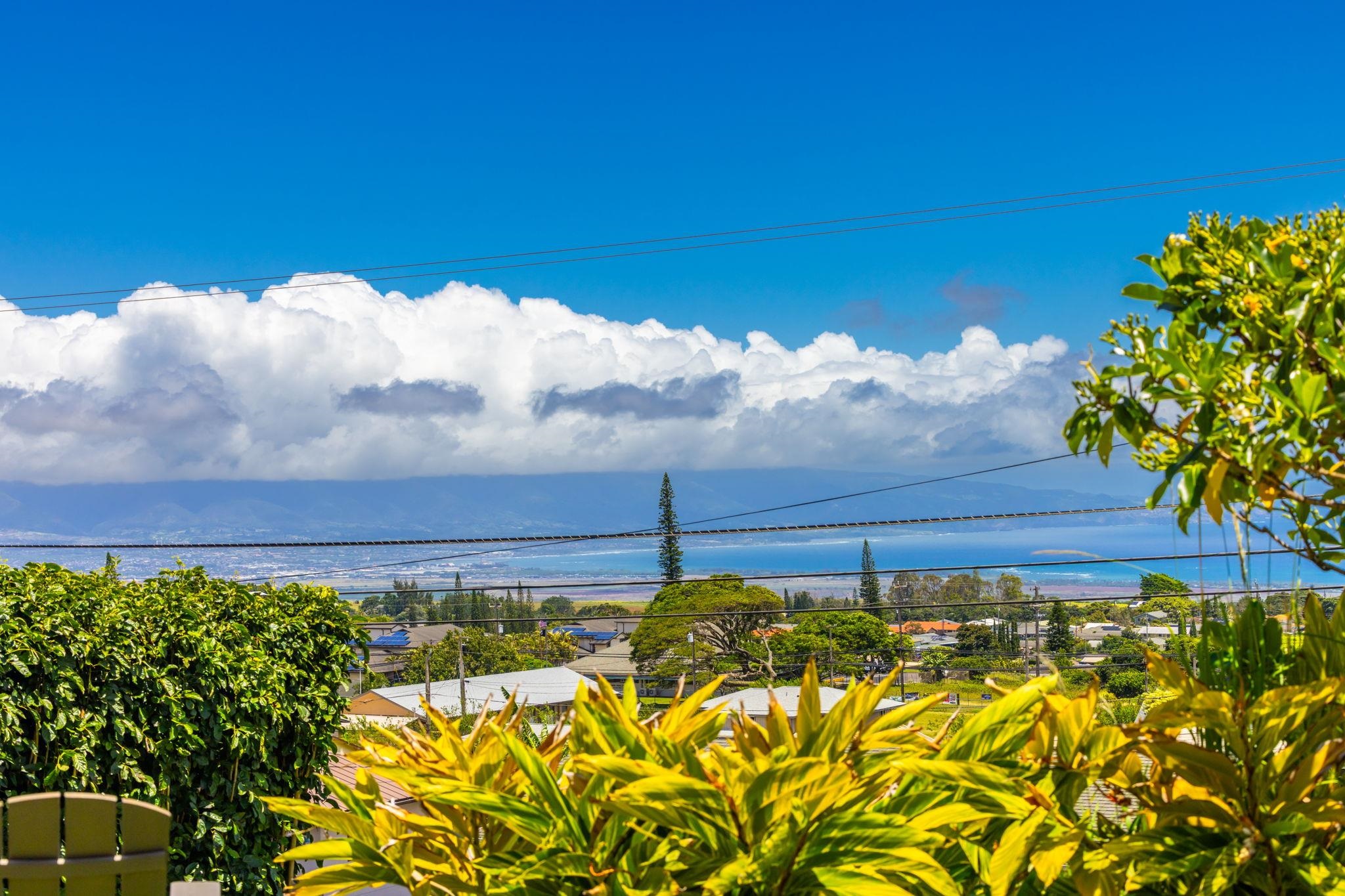 1131 Kehau Pl Property Photo 50
