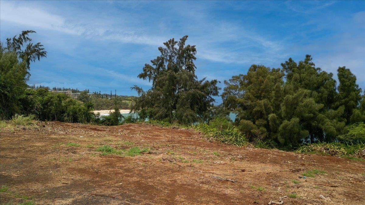 6501 Honoapiilani Hwy Property Photo 13