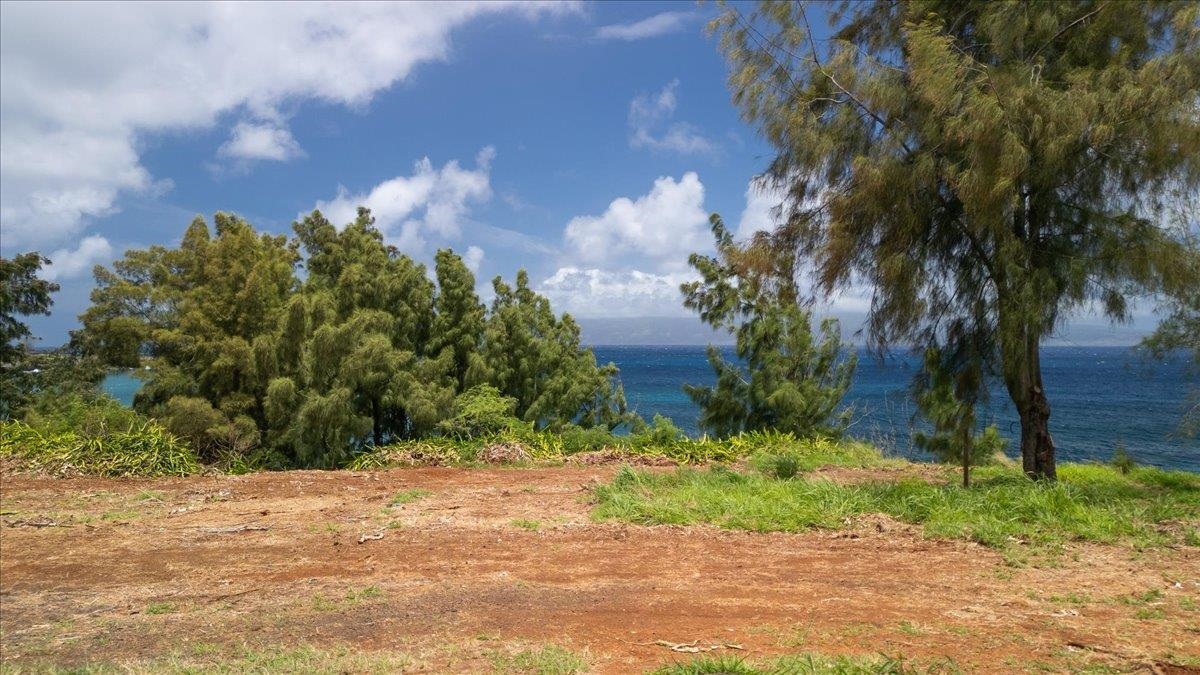 6501 Honoapiilani Hwy Property Photo 14