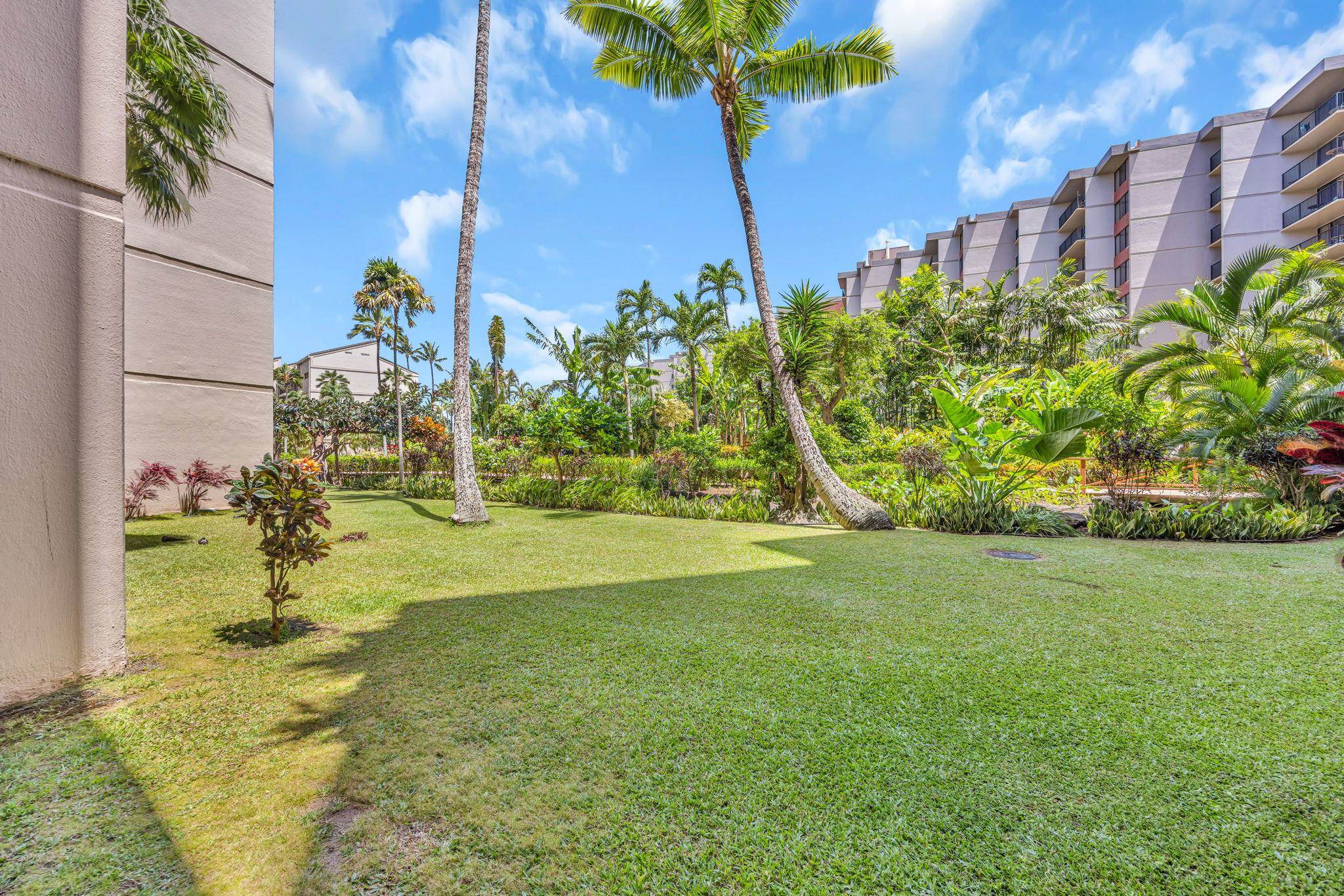 3445 Lower Honoapiilani Rd Property Photo 13