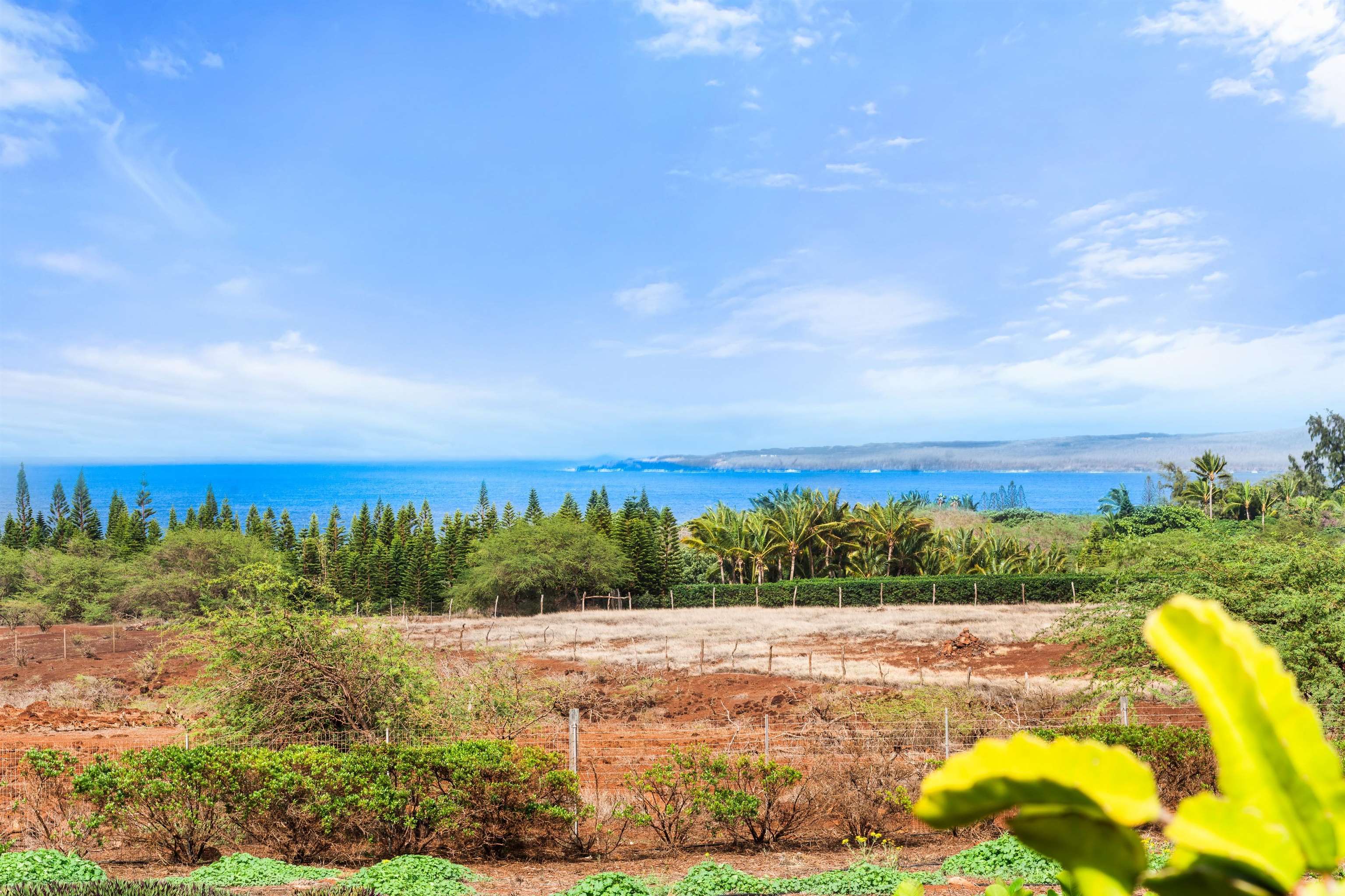 3820 Kalua Koi Rd Property Photo 5