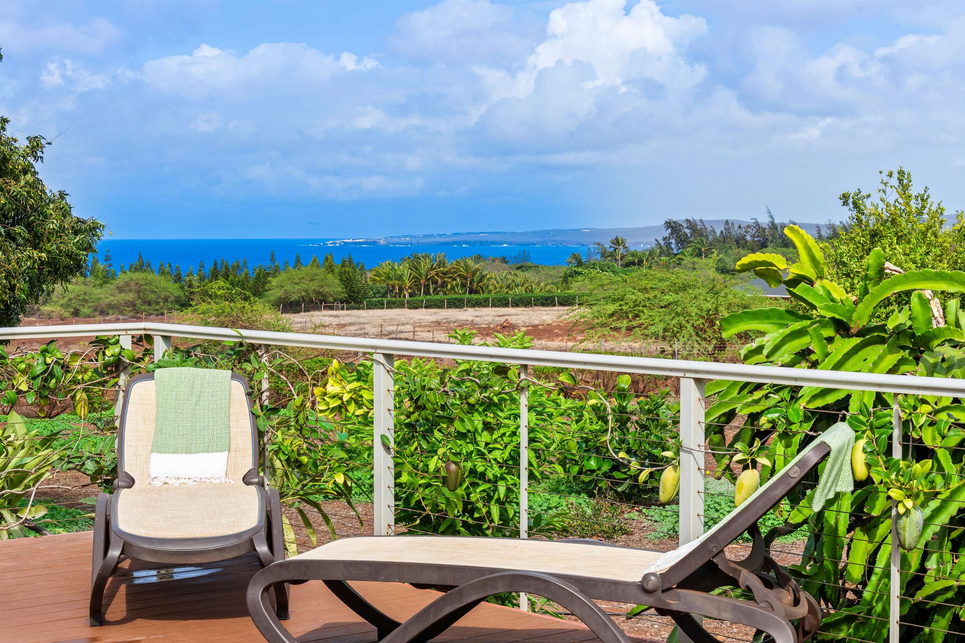 3820 Kalua Koi Rd Property Photo 22