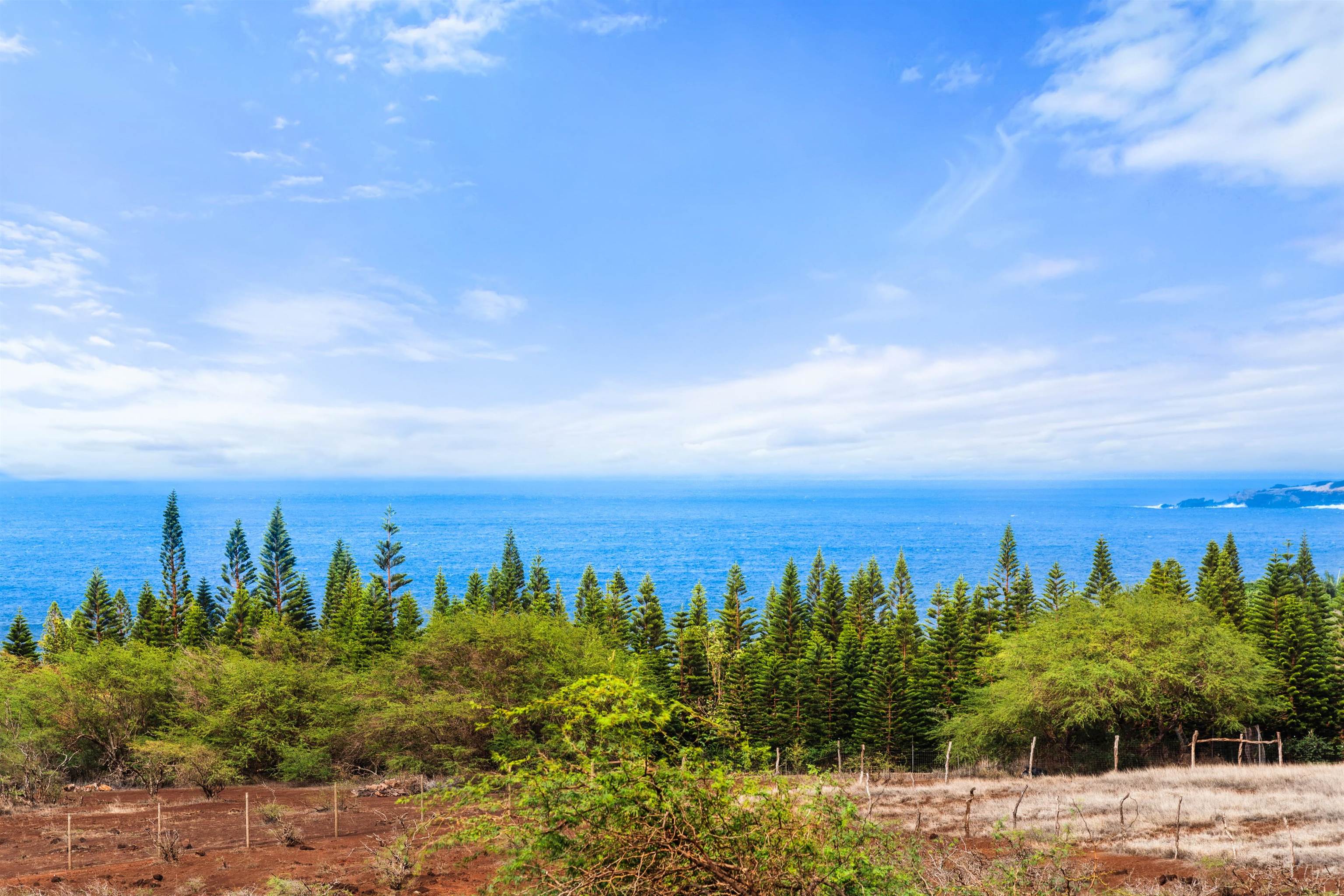 3820 Kalua Koi Rd Property Photo 25