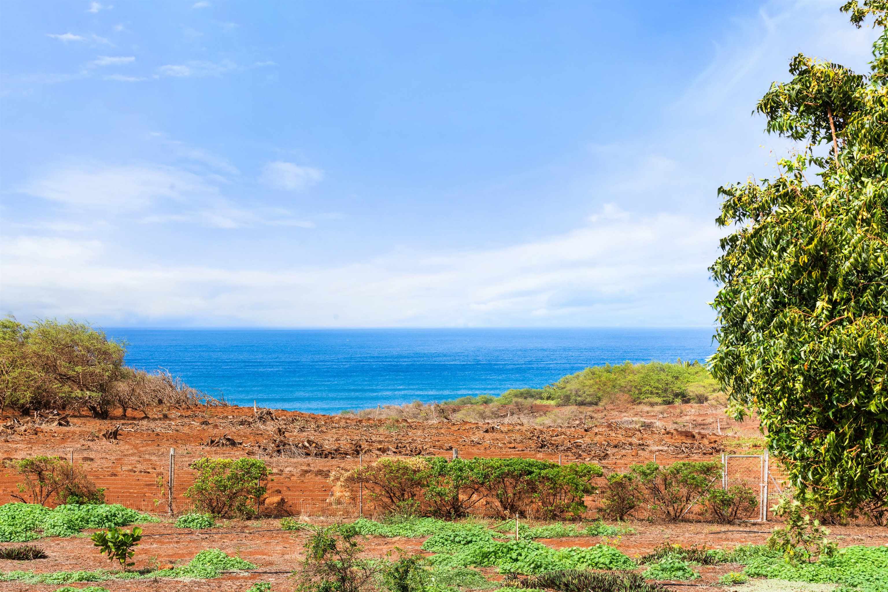 3820 Kalua Koi Rd Property Photo 44