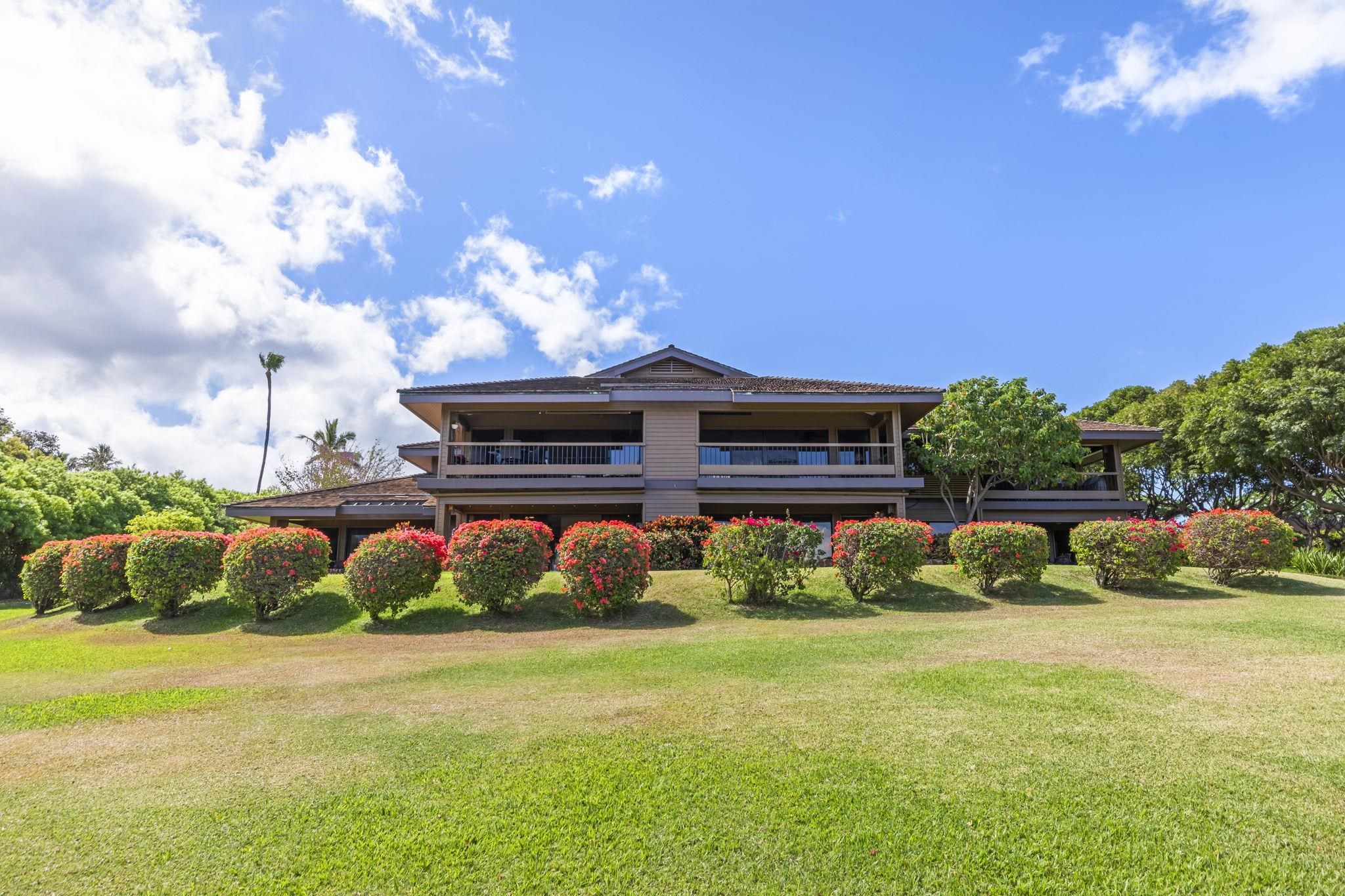 50 Puu Anoano St Property Photo 37
