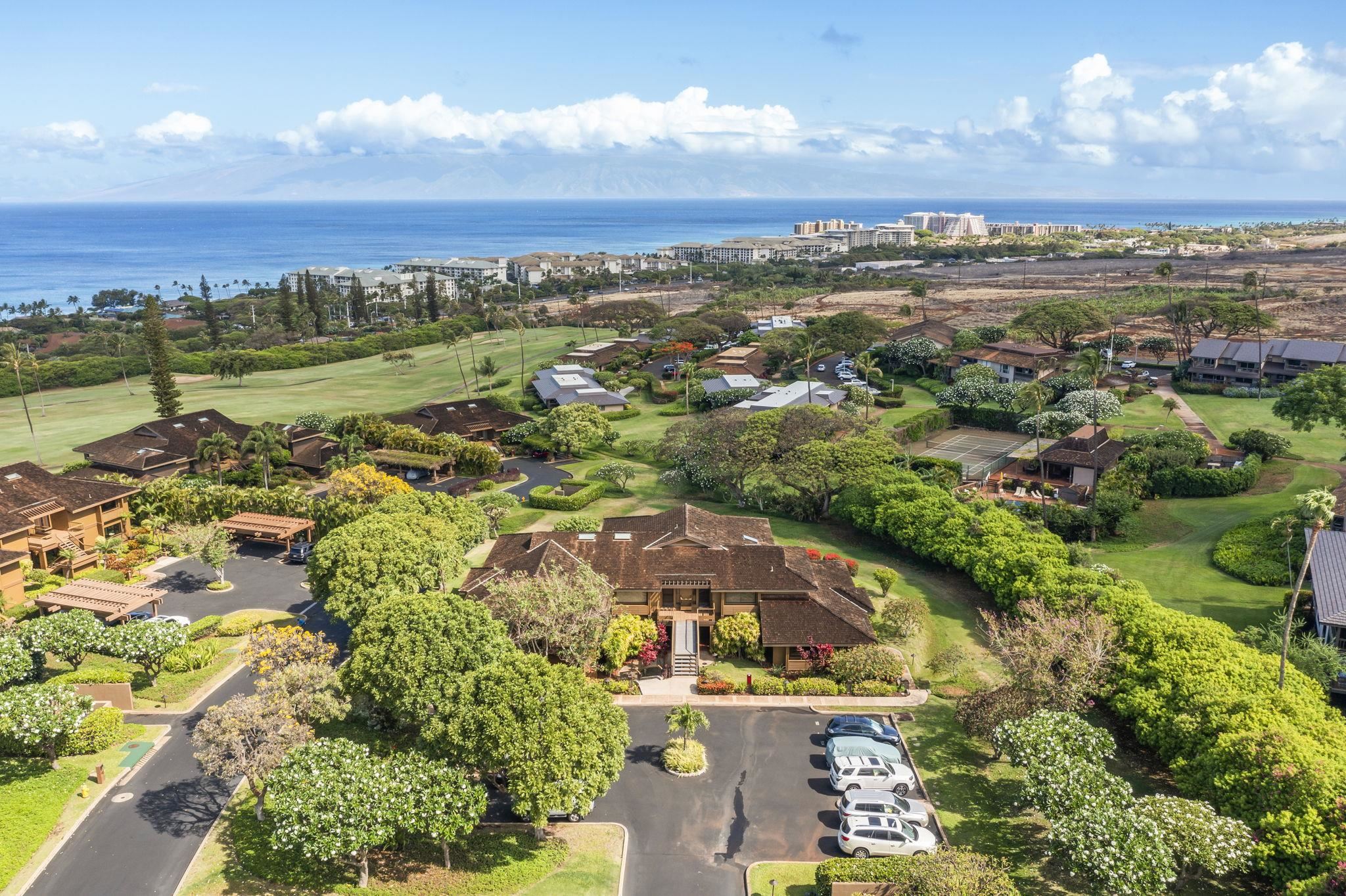 50 Puu Anoano St Property Photo 47