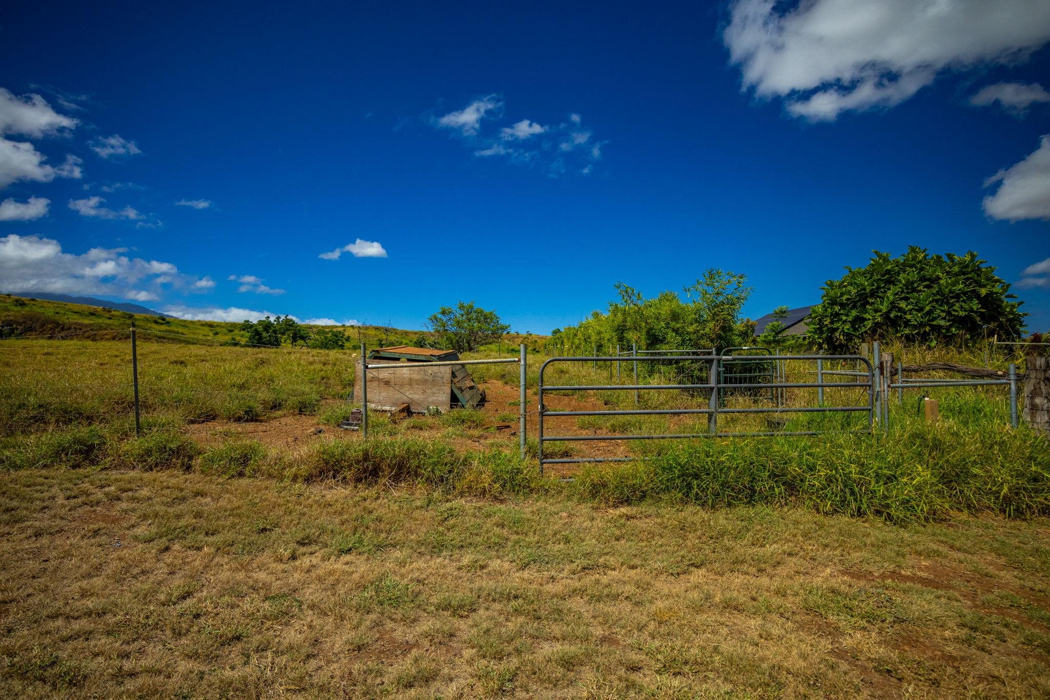 182 Hoomaikai Pl Property Photo 28