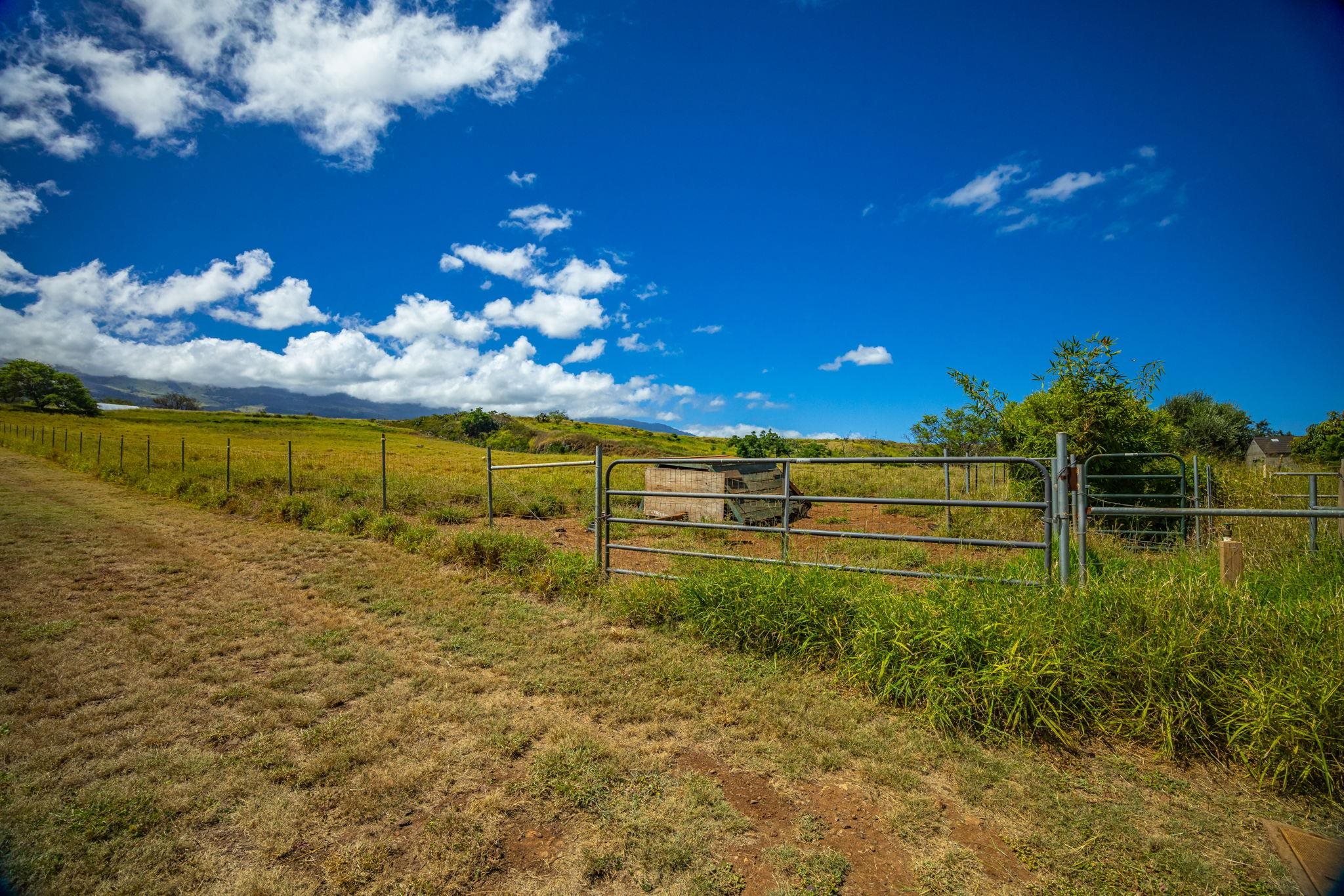 182 Hoomaikai Pl Property Photo 29