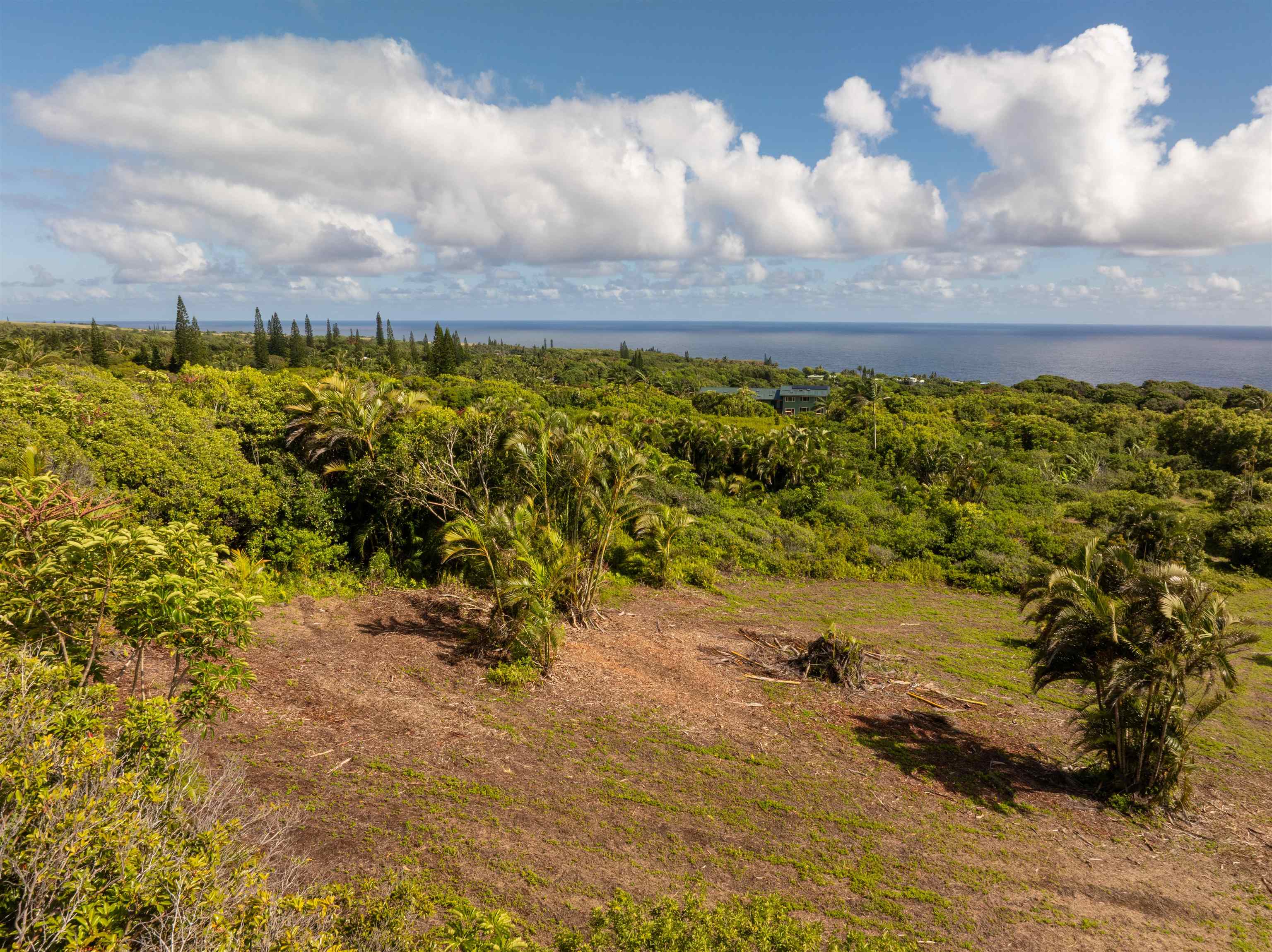 601 N Honokala Rd Property Photo 5