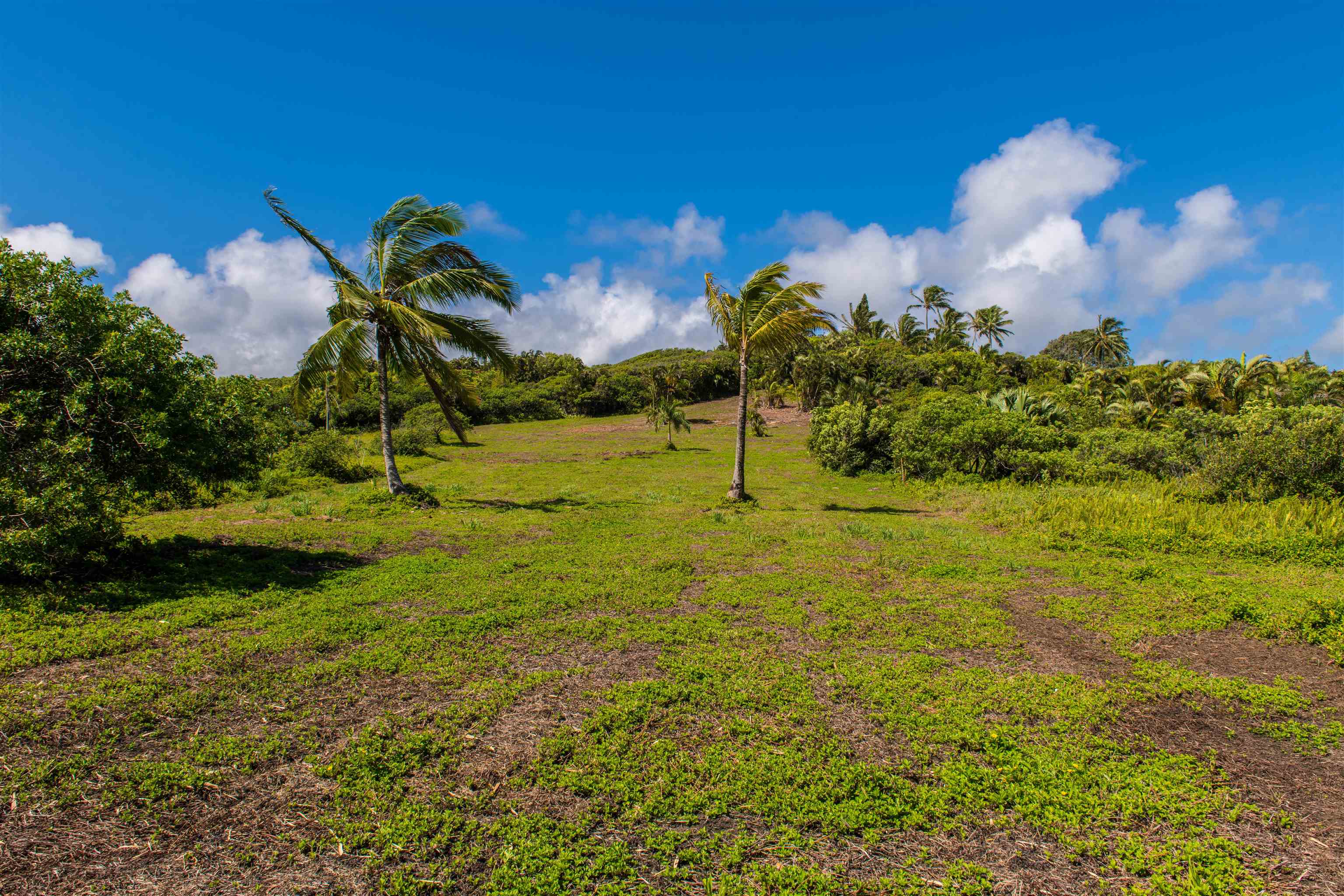 601 N Honokala Rd Property Photo 14