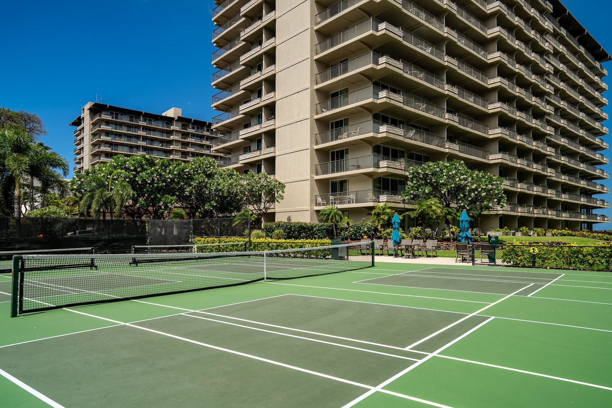 2481 Kaanapali Pkwy Property Photo 12